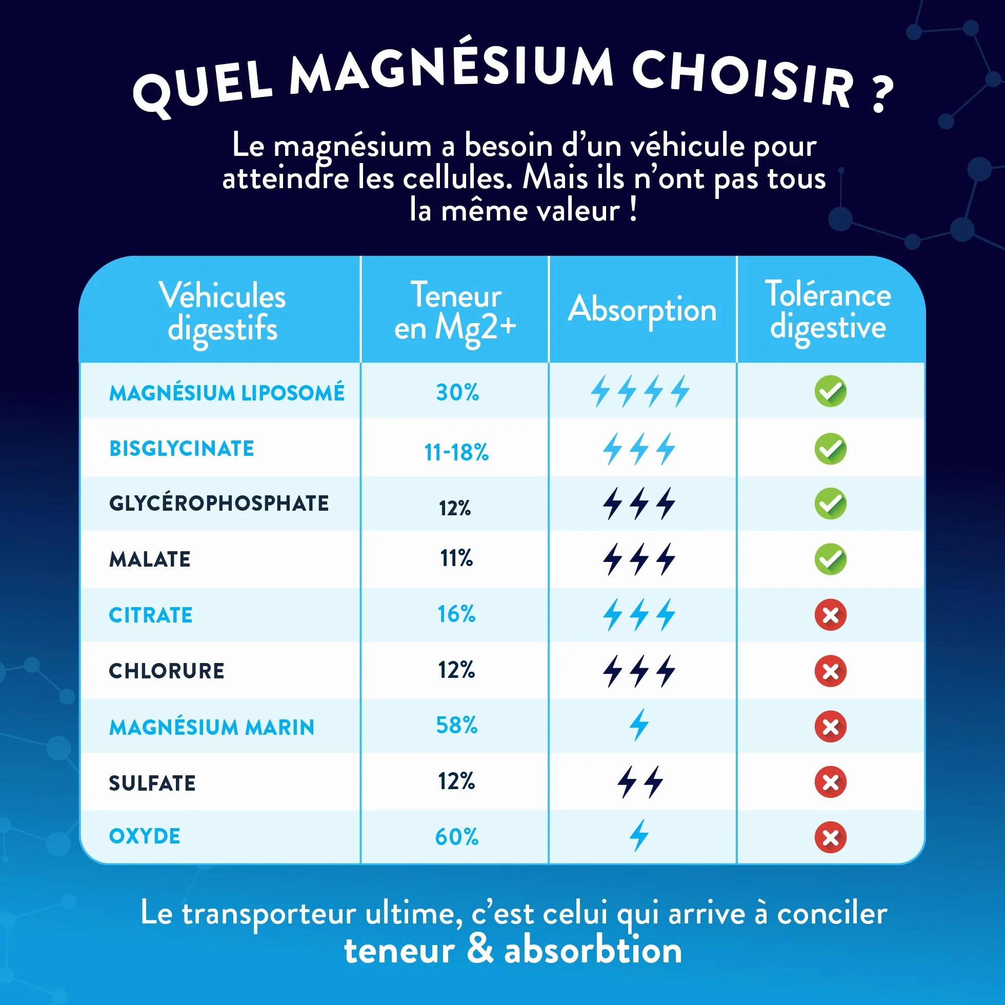 NUTRI & CO Magnésium Bisglycinate Malate & Liposome + Vitamine B6 300mg/j Haute Absorption 120 gélules Fabriqué en France