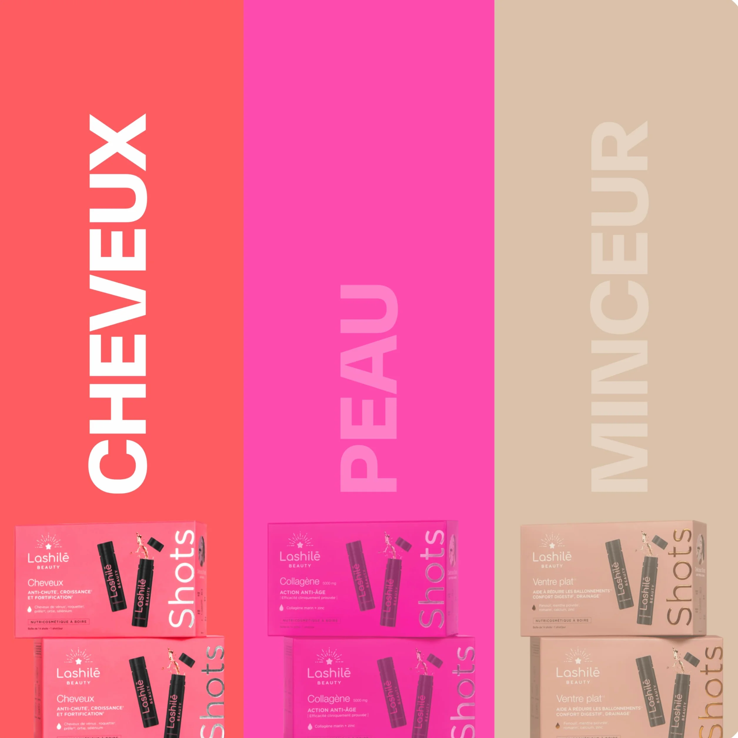 Lashilé Beauty Complément Alimentaire Cheveux 3 en 1 Anti-chute Croissance Fortification Programme 14 Jours