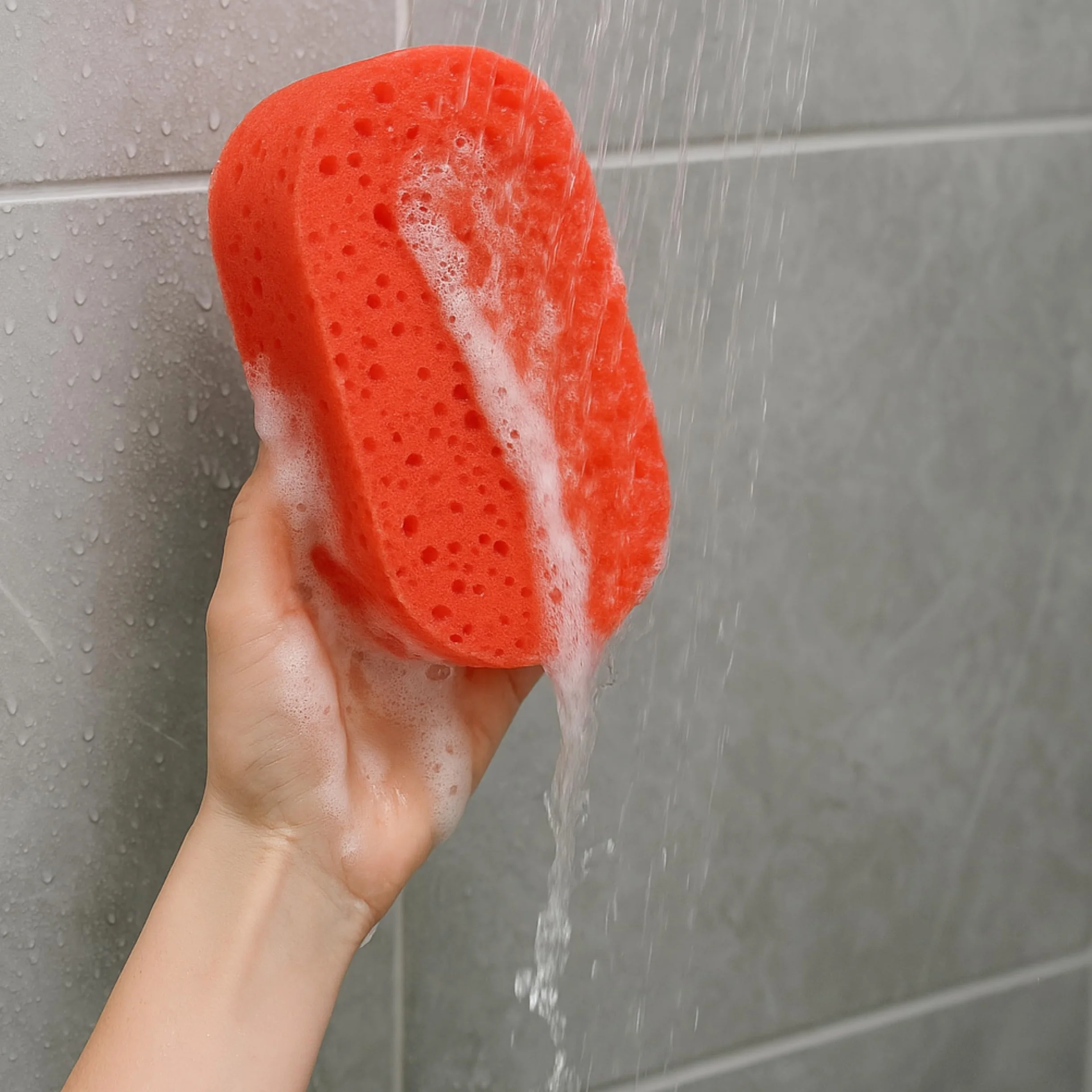 PARENCE Éponge de Bain Naturelle Végétale Douche Corps Visage 13x11x7 cm