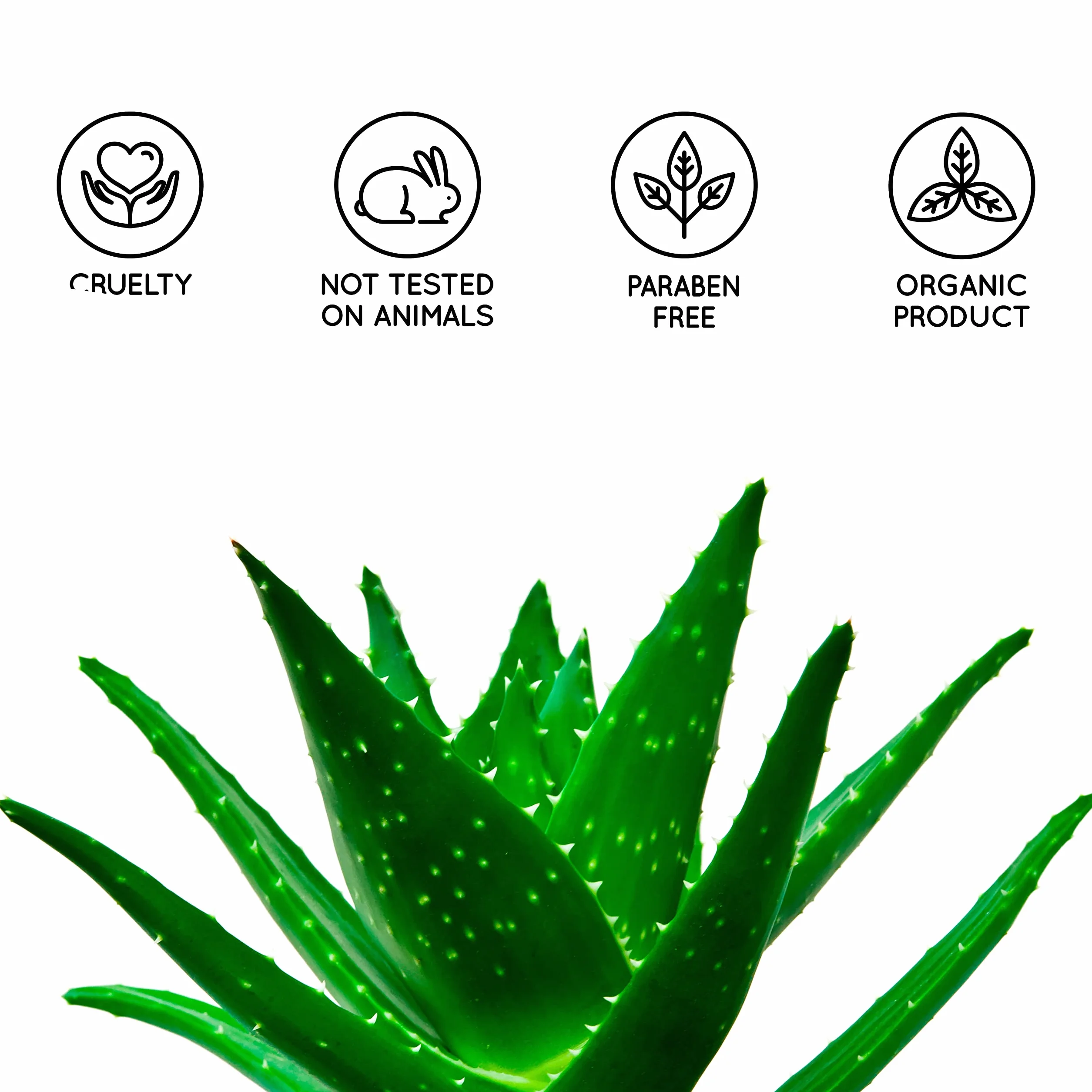 Gel Aloe Vera 100% Naturel Hydratant Visage Corps Cheveux 5000 ml