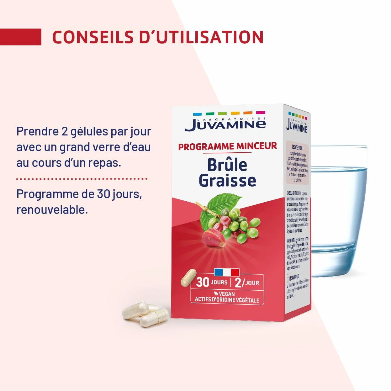 JUVAMINE Brûle Graisse Programme Minceur Thé Vert Kola Café Vert Vegan 60 Gélules Fabriqué en France