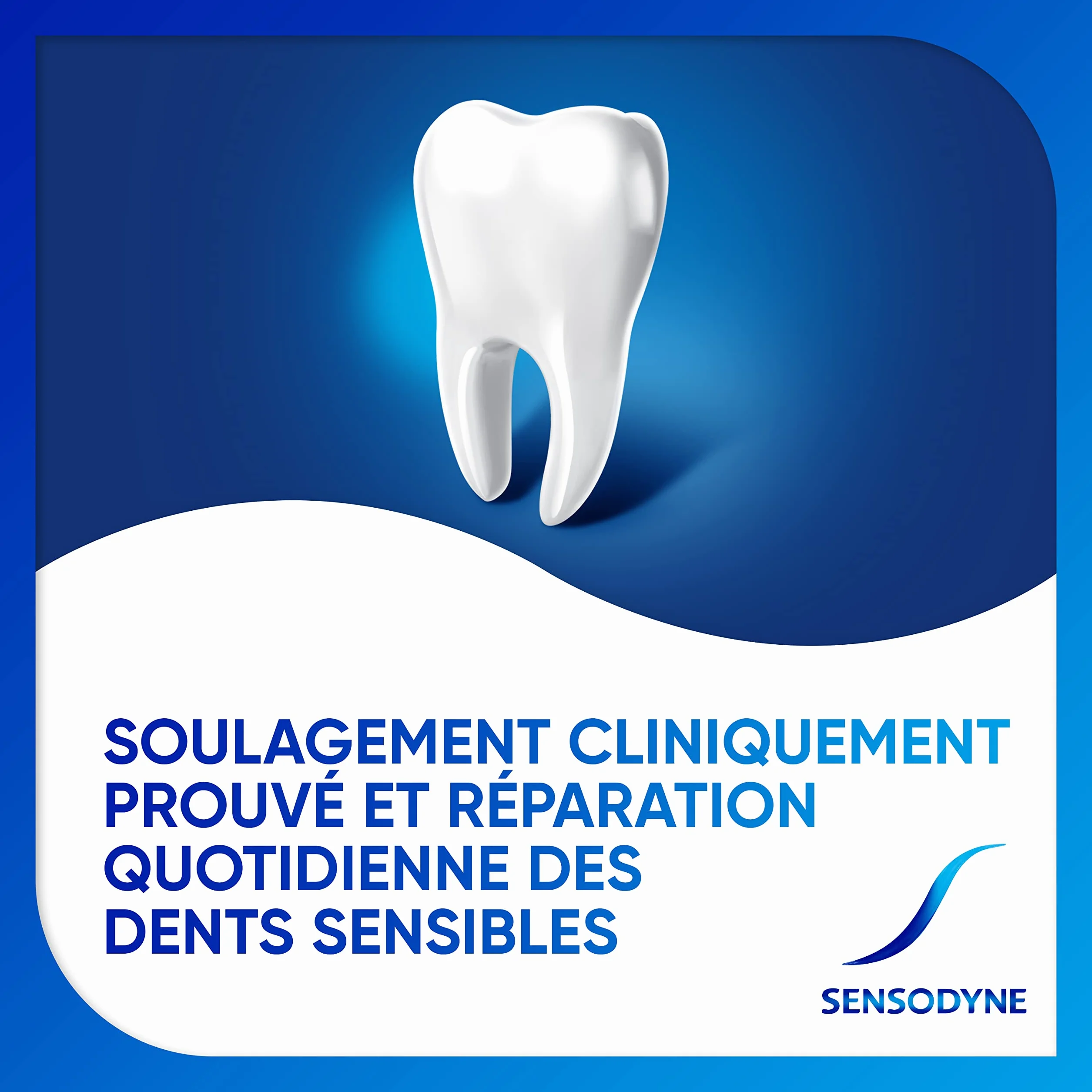 Sensodyne Dentifrice Répare et Protège Dents Sensibles Menthe Lot de 2x75ml