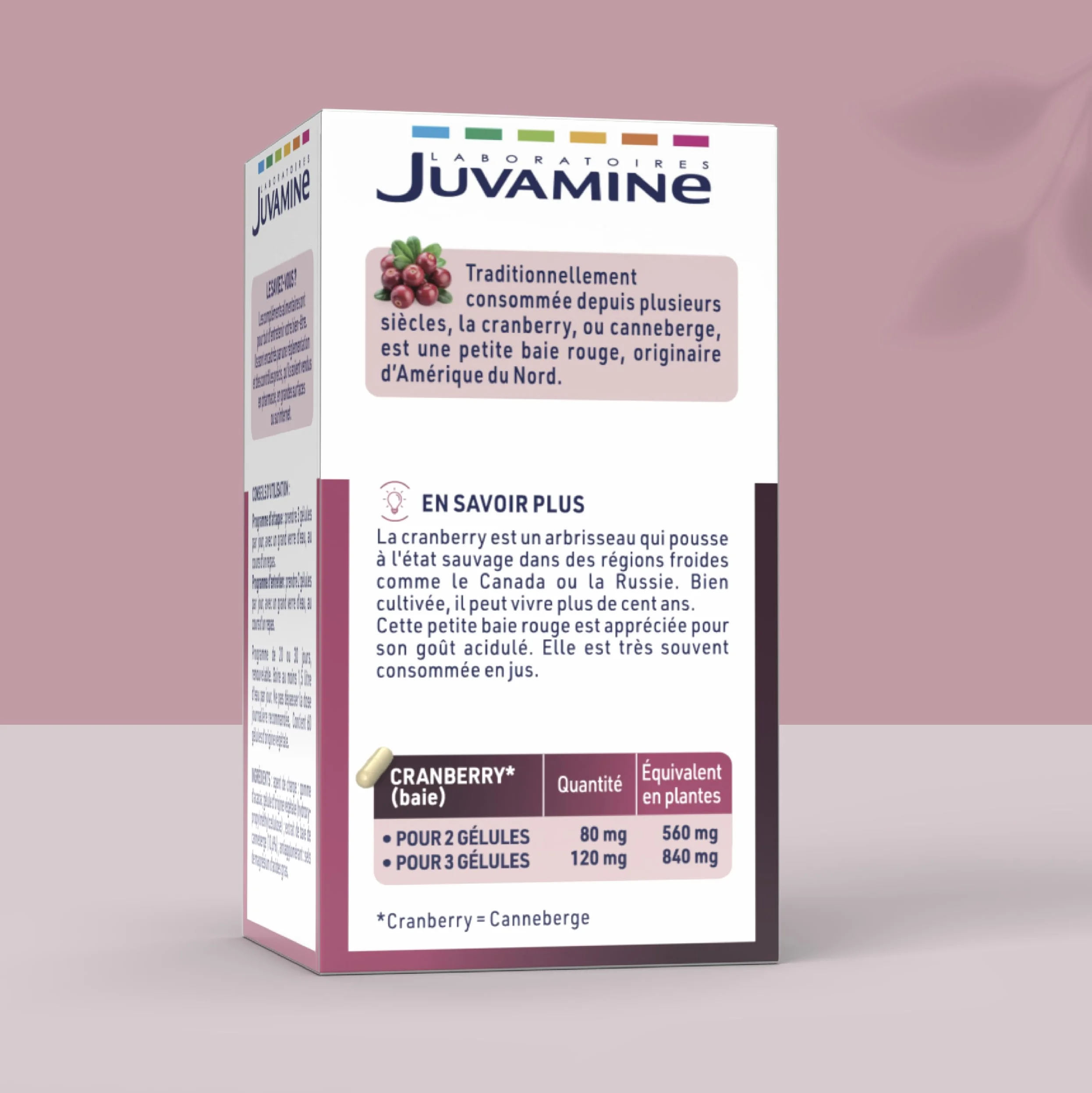 JUVAMINE Cranberry Bien être Urinaire 60 Gélules Fabriqué en France