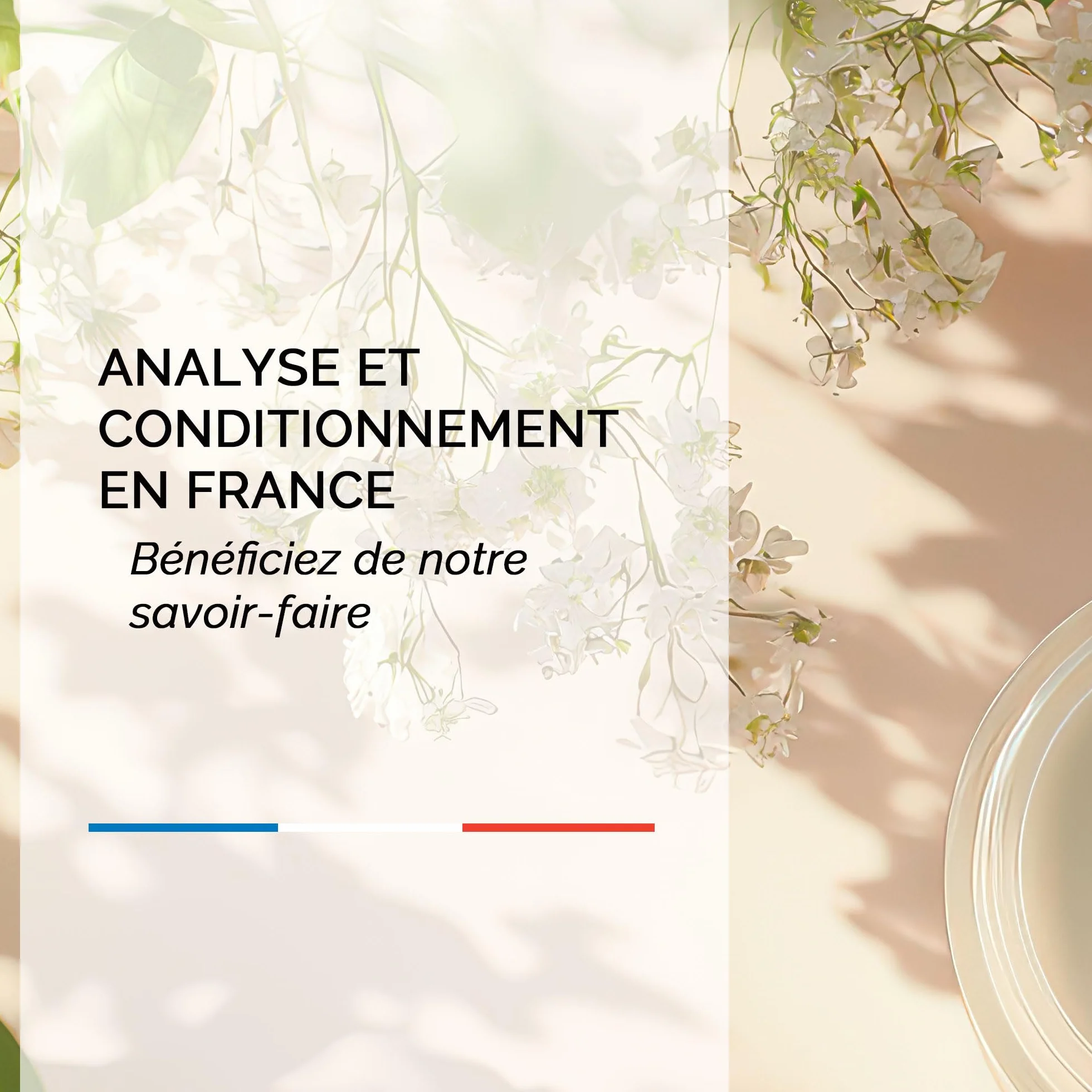 Huile d'Argan BIO Certifiée ECOCERT 100% Pure 100ml Anti-rides Nourrissante Pressée à froid