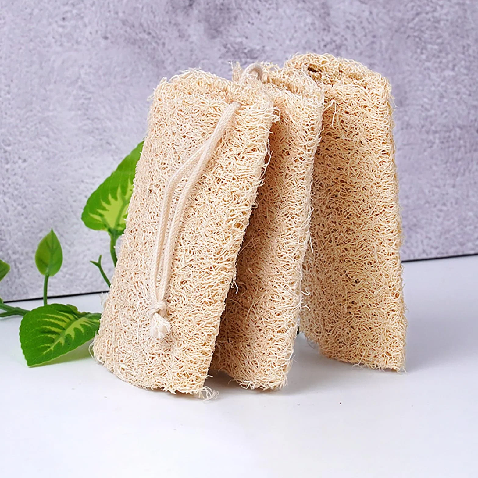 Lot de 2 éponges exfoliantes naturelles cuisine salle de bain compressées