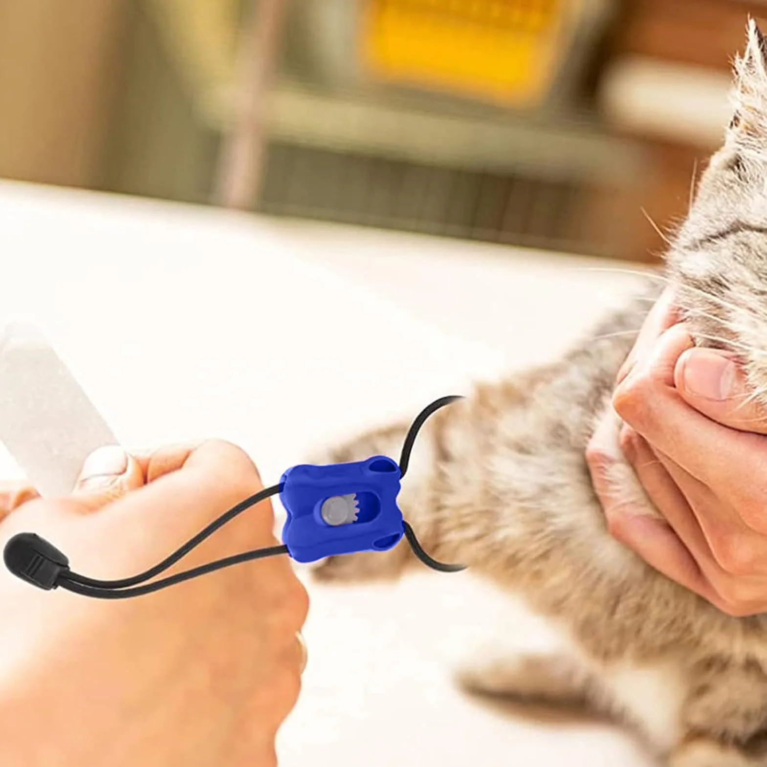 Garrot Élastique Premiers Secours Bandage Portable Contrôle Saignement Immédiat Chien Chat