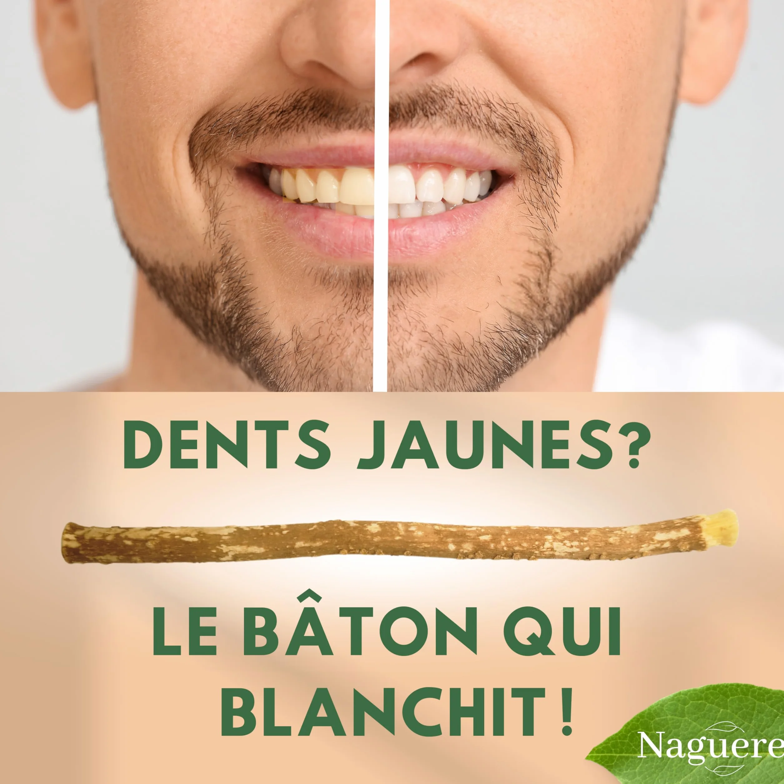 Siwak Naturel 6 Batons de Miswak Sec + Pochon Sans Conservateur Écologique Sans Plastique