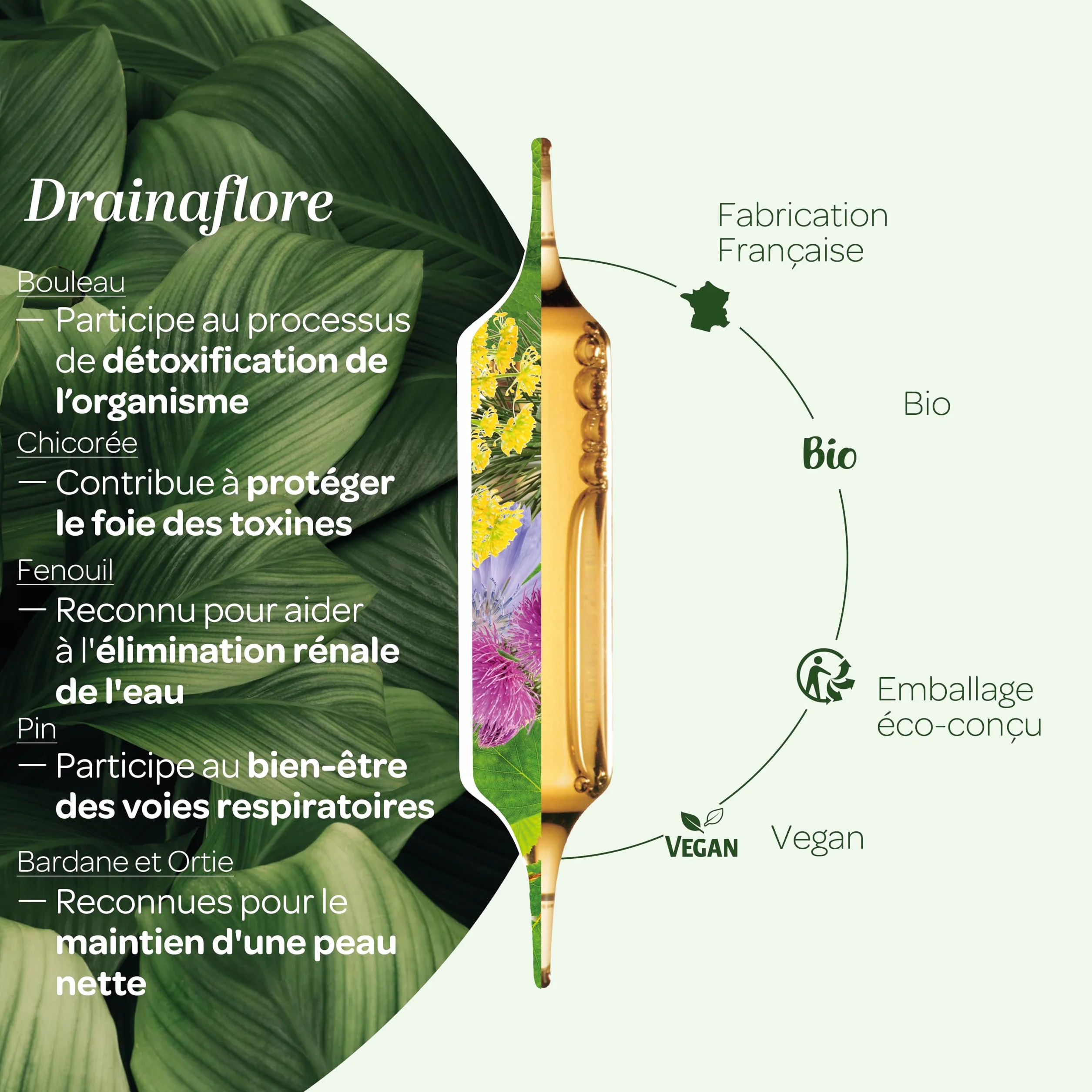 SUPERDIET-DRAINAFLORE BIO Drainage Détox 5 émonctoires 20 ampoules 15 ml Fabrication française