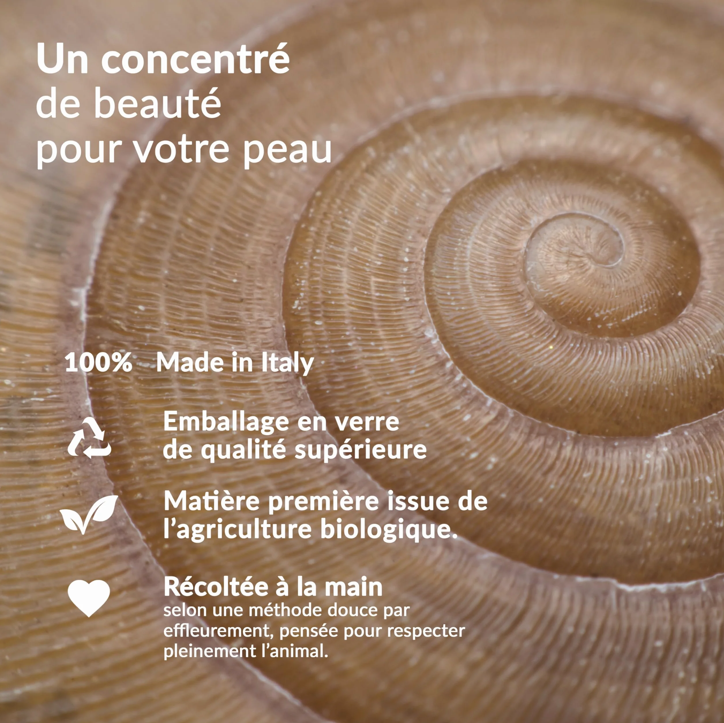 Nuvò – Crème Contour des Yeux, 30 ml, Idéale pour Poches et Cernes, Effet Anti-Âge, avec 72% Bave d'Escargot Bio, Acide Hyaluronique et Panthénol, Soin Hydratant Homme et Femme, Made in Italy
