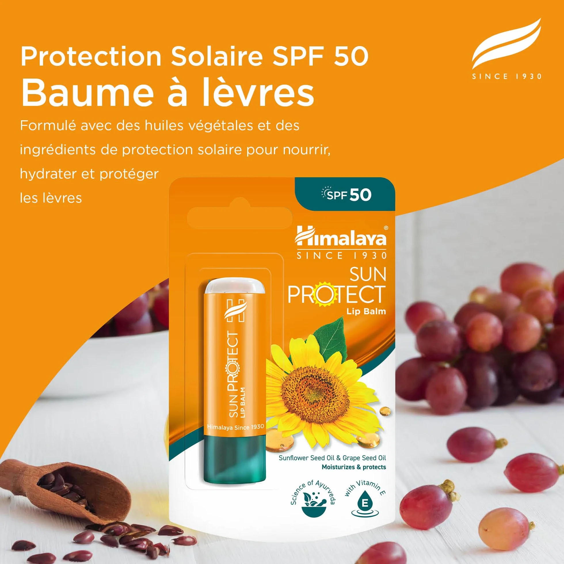Himalaya Sun Protect Baume à lèvres SPF 50 UVA 4,5g