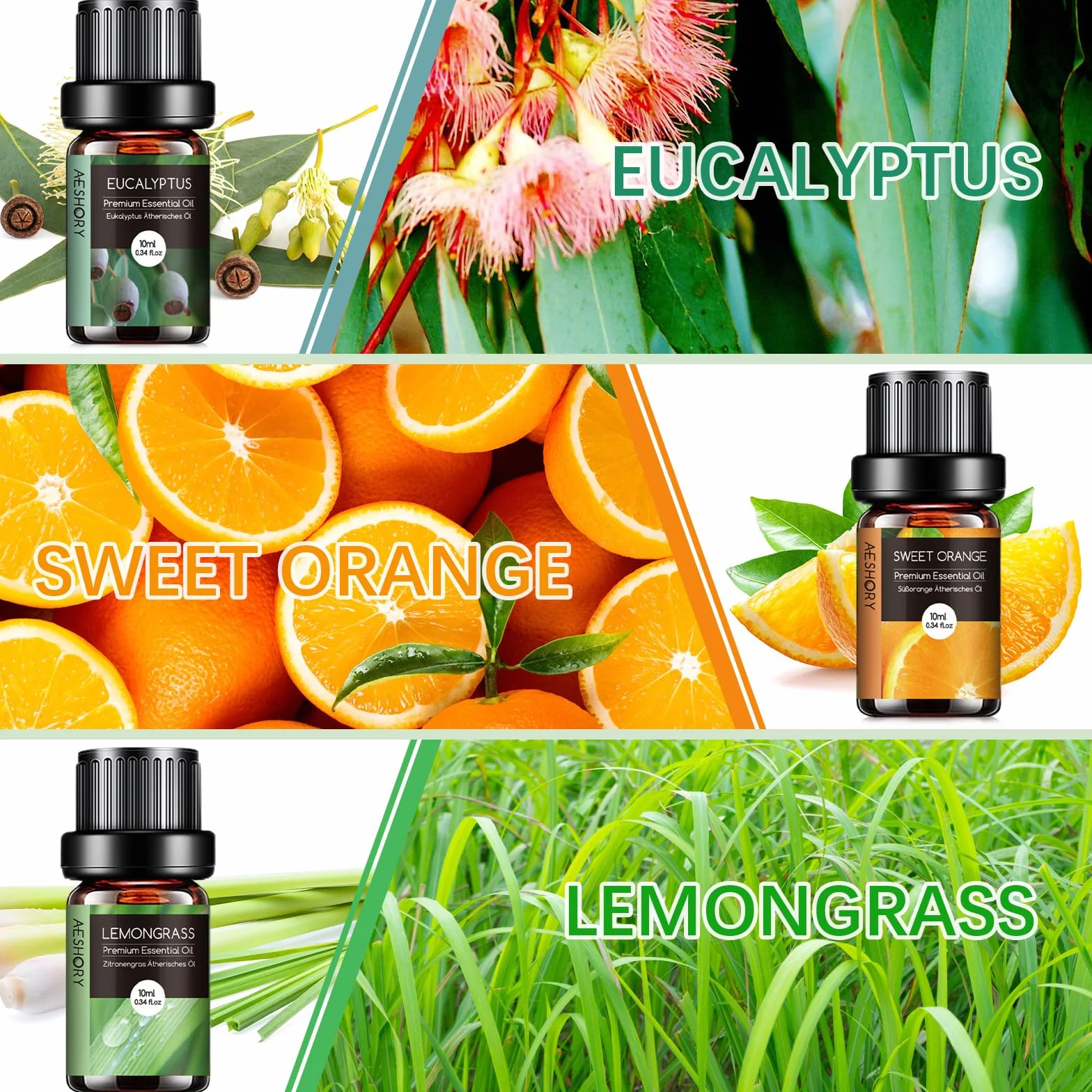 Kit Huiles Essentielles 6 x 10ml Aromathérapie Lavande Orange Douce Menthe Poivrée Arbre à Thé Citronnelle Eucalyptus