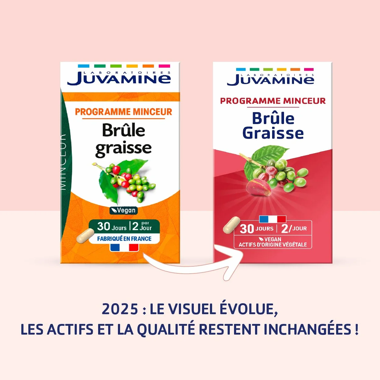 JUVAMINE Brûle Graisse Programme Minceur Thé Vert Kola Café Vert Vegan 60 Gélules Fabriqué en France