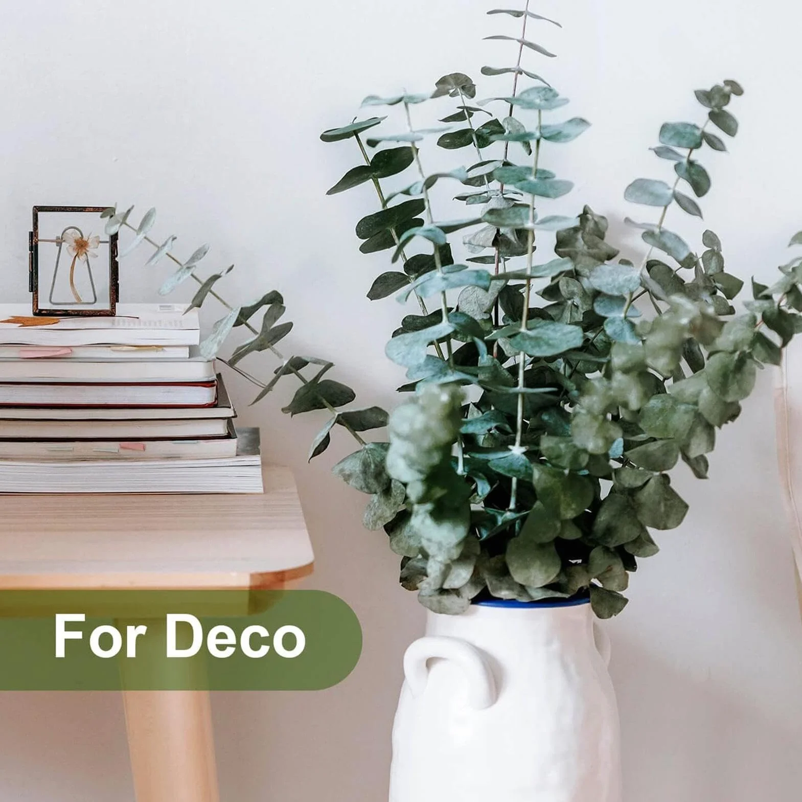 Tiges d'Eucalyptus pour Douche - Naturelles Grand Format 10 Unités, Arrangements Fleurs Sèches Décoration Maison Salle de Bain