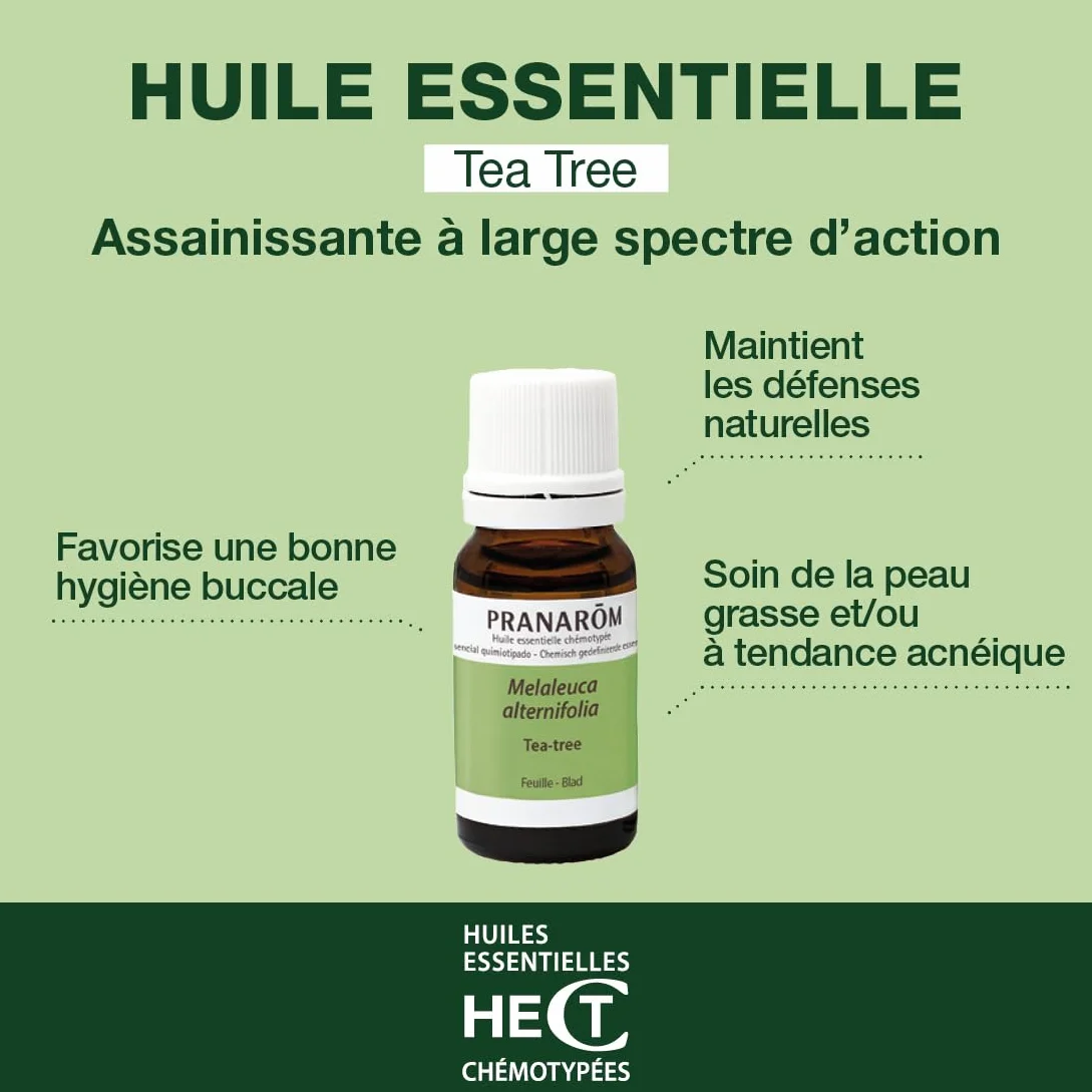 Huile Essentielle Tea Tree Chémotypée 100% Pure Naturelle HECT 10 ml