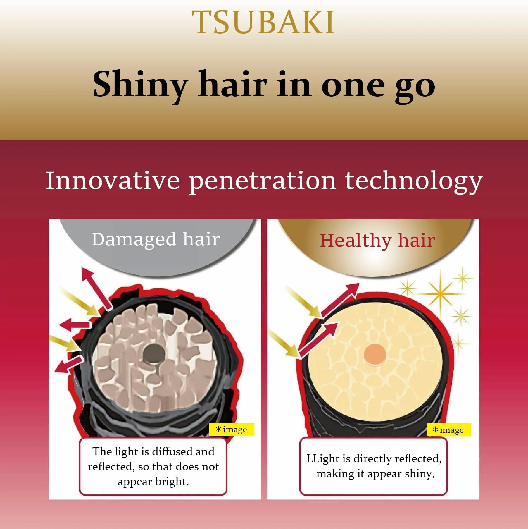 Tsubaki Premium Shampooing et Après-Shampooing Moist & Repair – Duo Pompe 450ml + 450ml