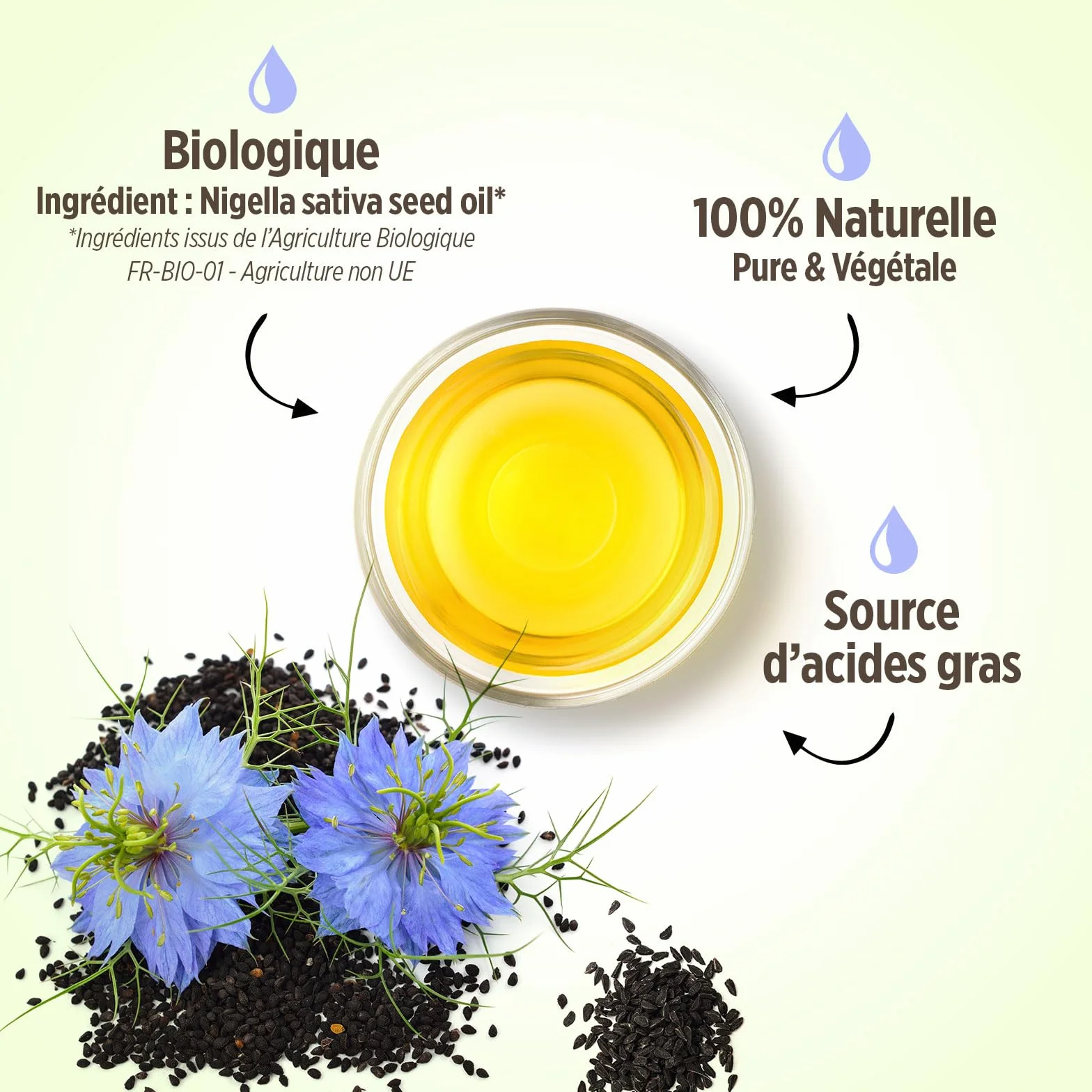 Huile de NIGELLE Bio 150 ml Planète au Naturel Pure Pressée à froid Alimentaire Cheveux Corps Ongles