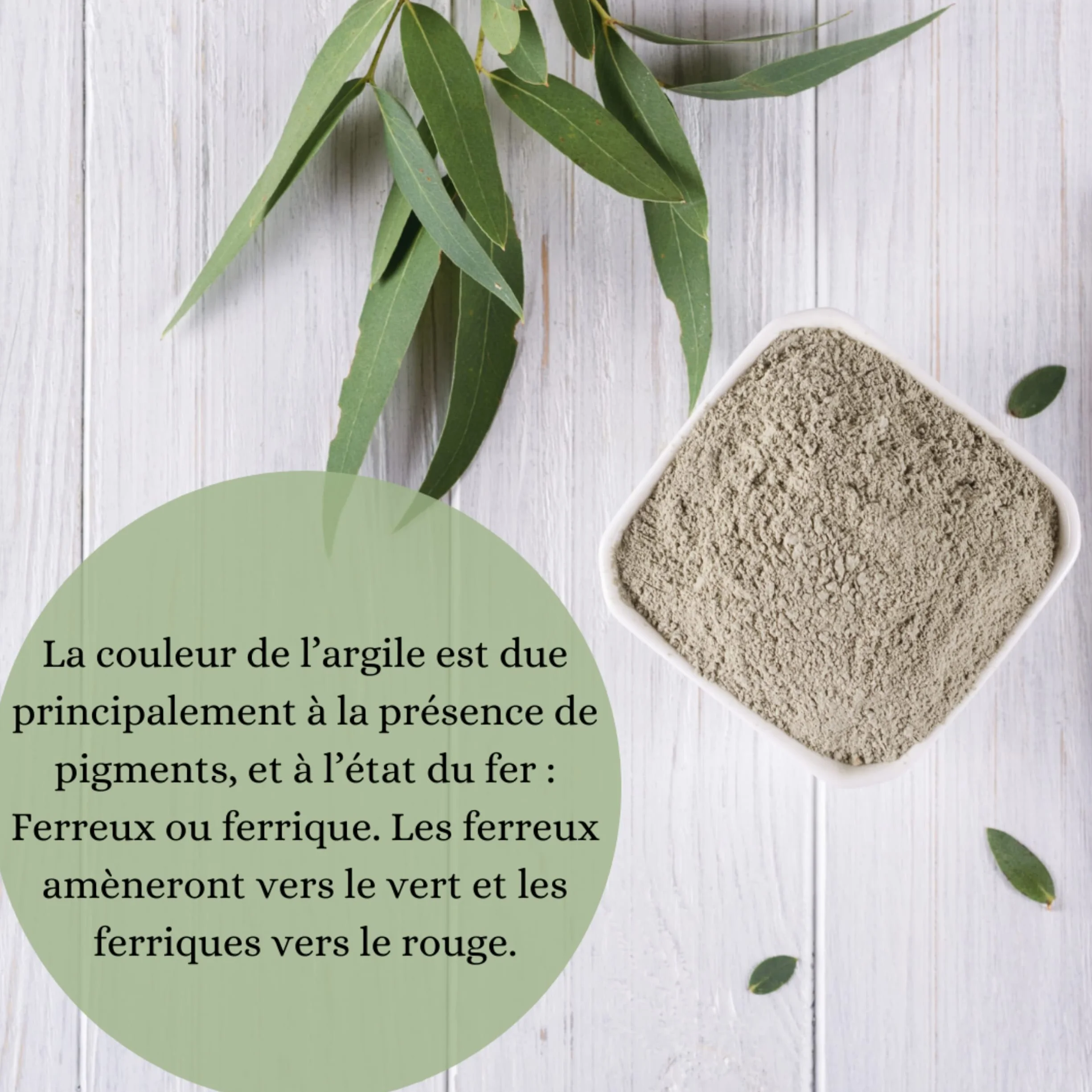 Argile verte montmorillonite ECO-CERT pinceau silicone nettoie pores hydrate adoucit peau détoxifie cheveux