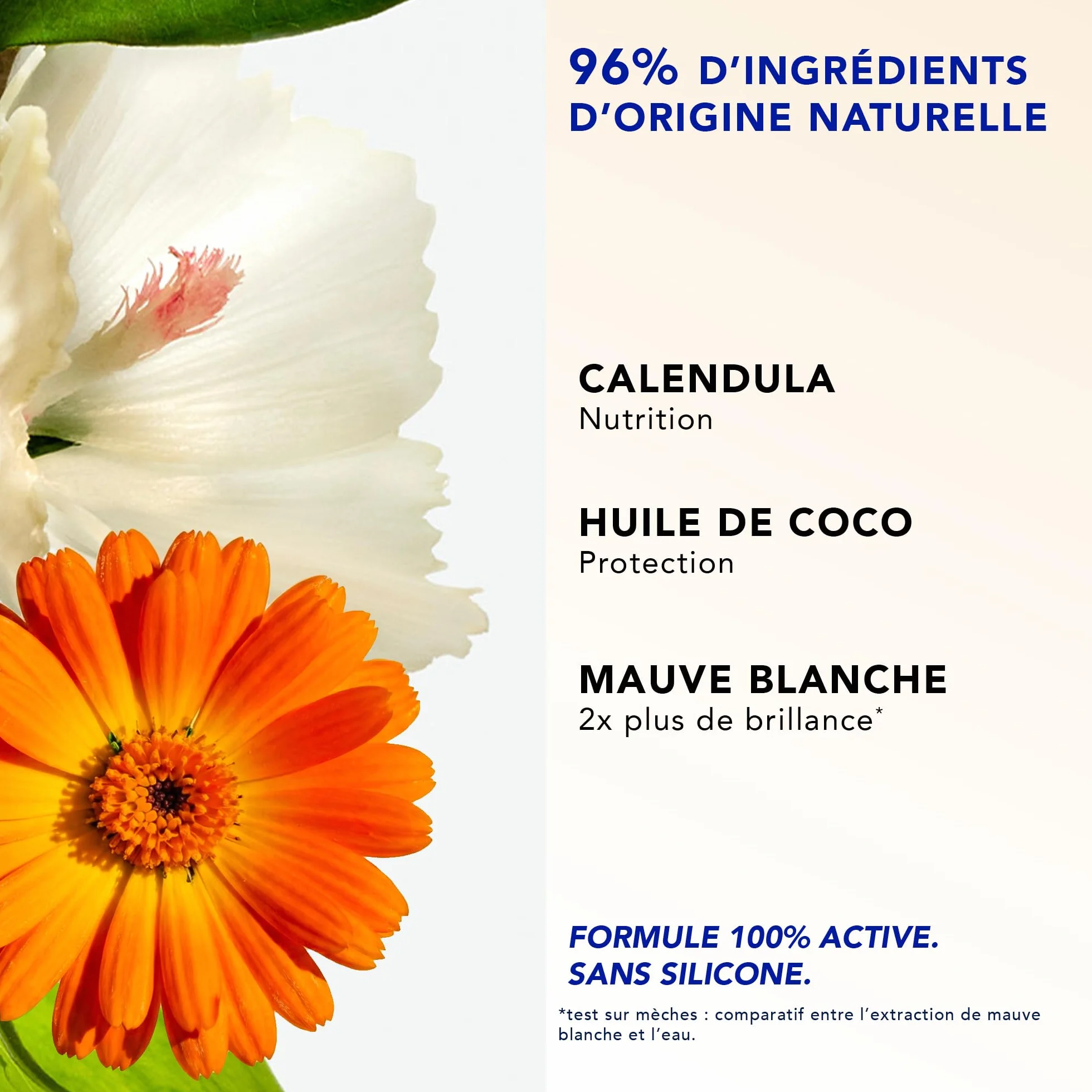 Phyto Paris PhytoPlage Spray Démêlant Réhydratant Après-Soleil 150ml Soin Cheveux Hydrate Démêle Protège