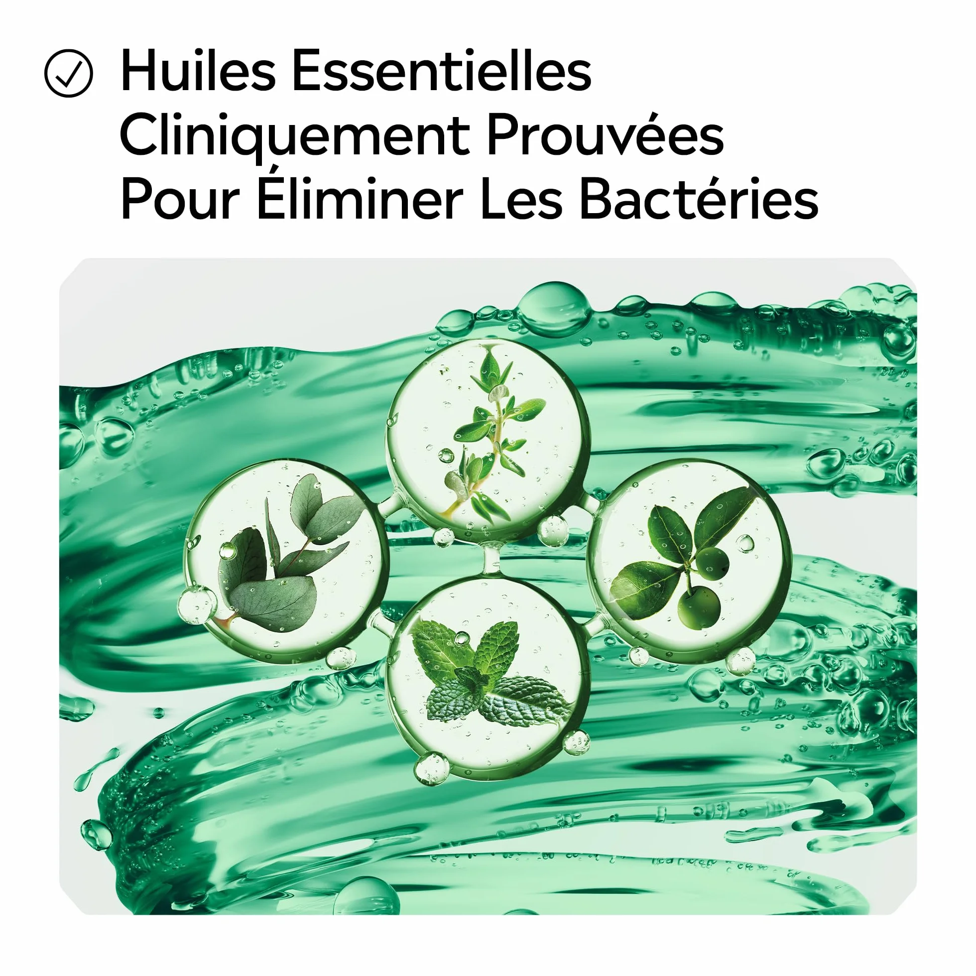 Listerine Bain de Bouche Total Care Dents et Gencives 500 ml Soin bucco-dentaire Haleine Fraîche