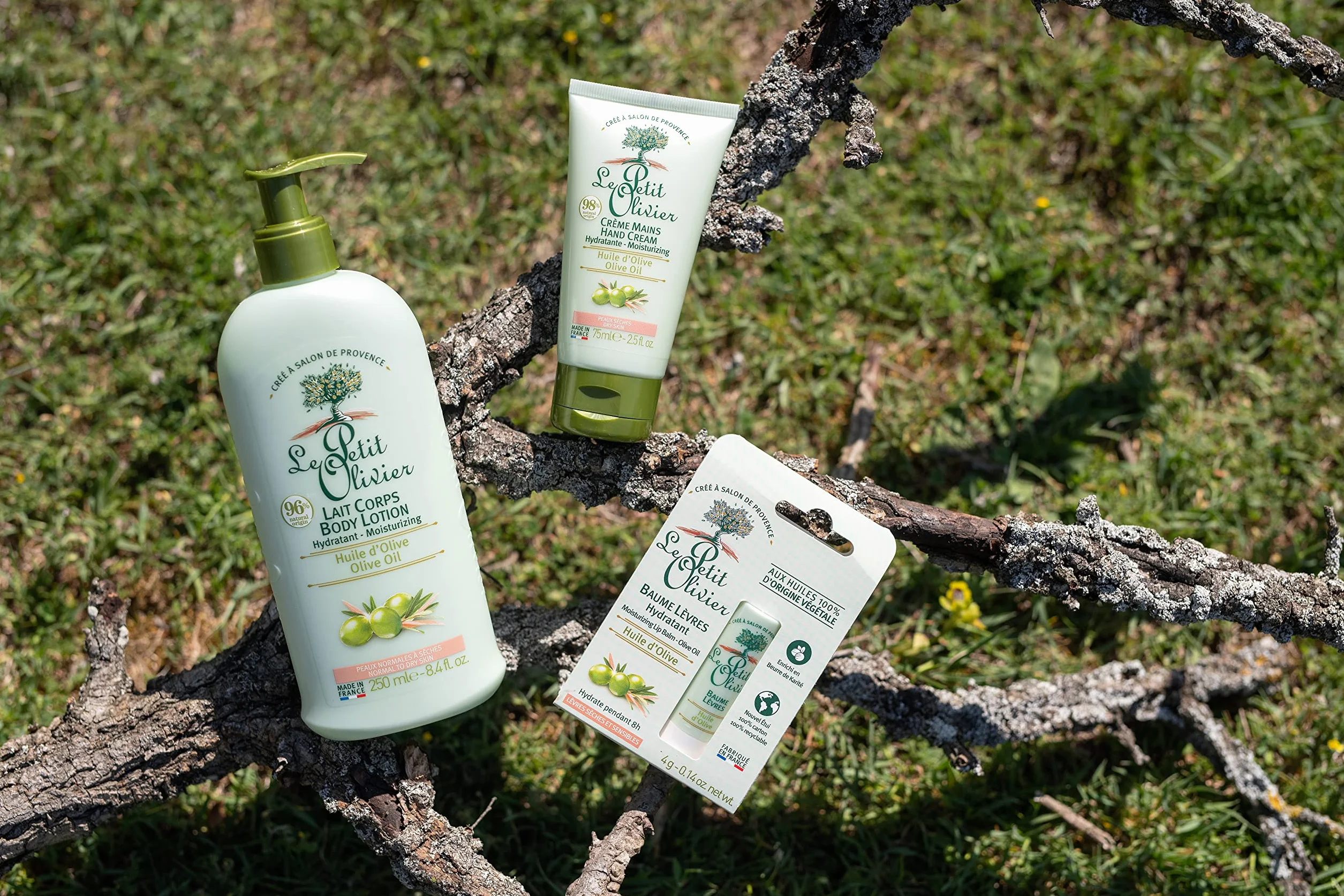 LE PETIT OLIVIER Gommage Visage Poudre Naturelle Noyaux d'Olive Exfolie Lisse Peaux Normales Sèches 75 ml