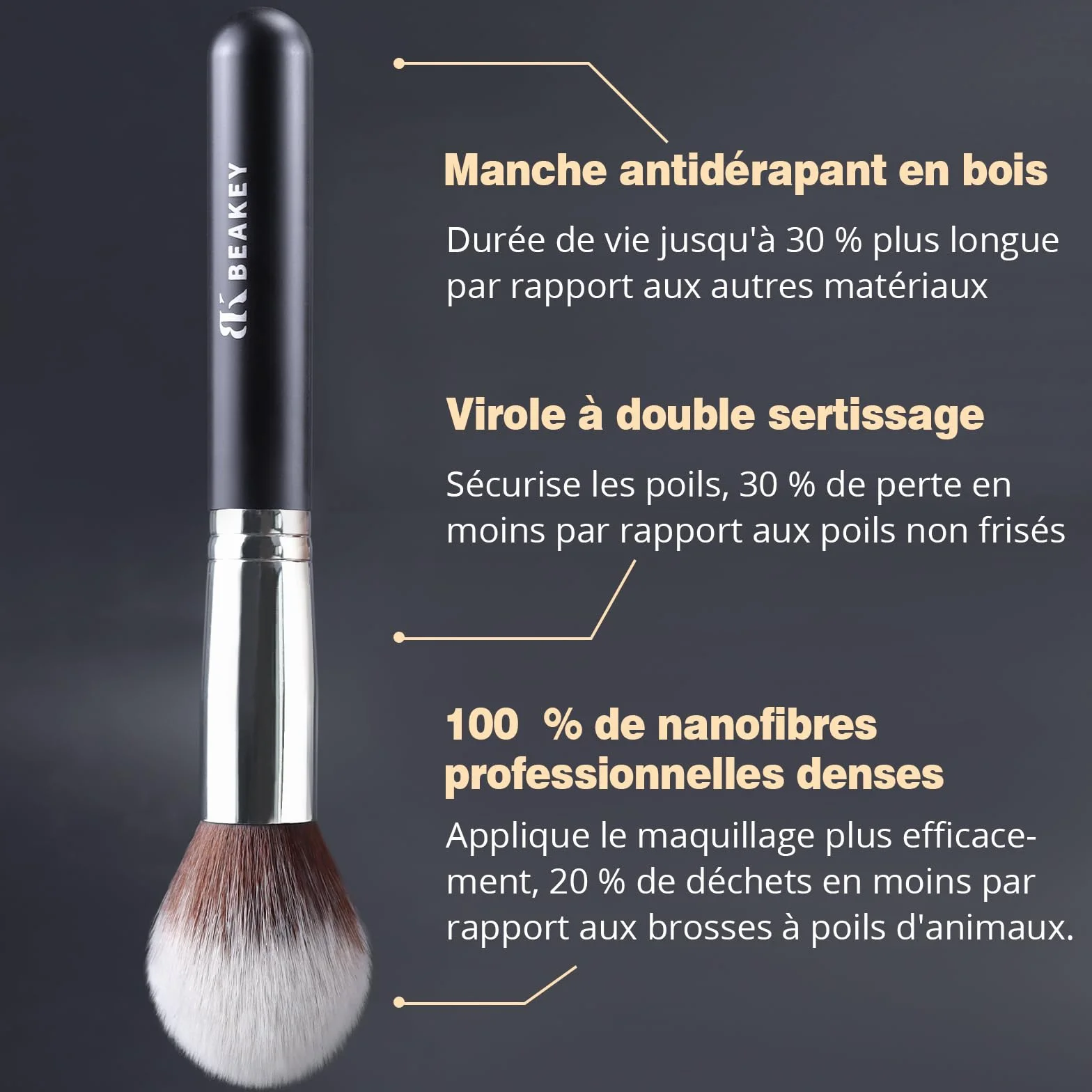 BEAKEY Pinceaux Maquillages Professionnel, 10+2 Pcs Maquillage Pinceau Set Fond de Teint Blush L'anti-cernes Fard à Paupières Poudre Libre, Noir/Argent
