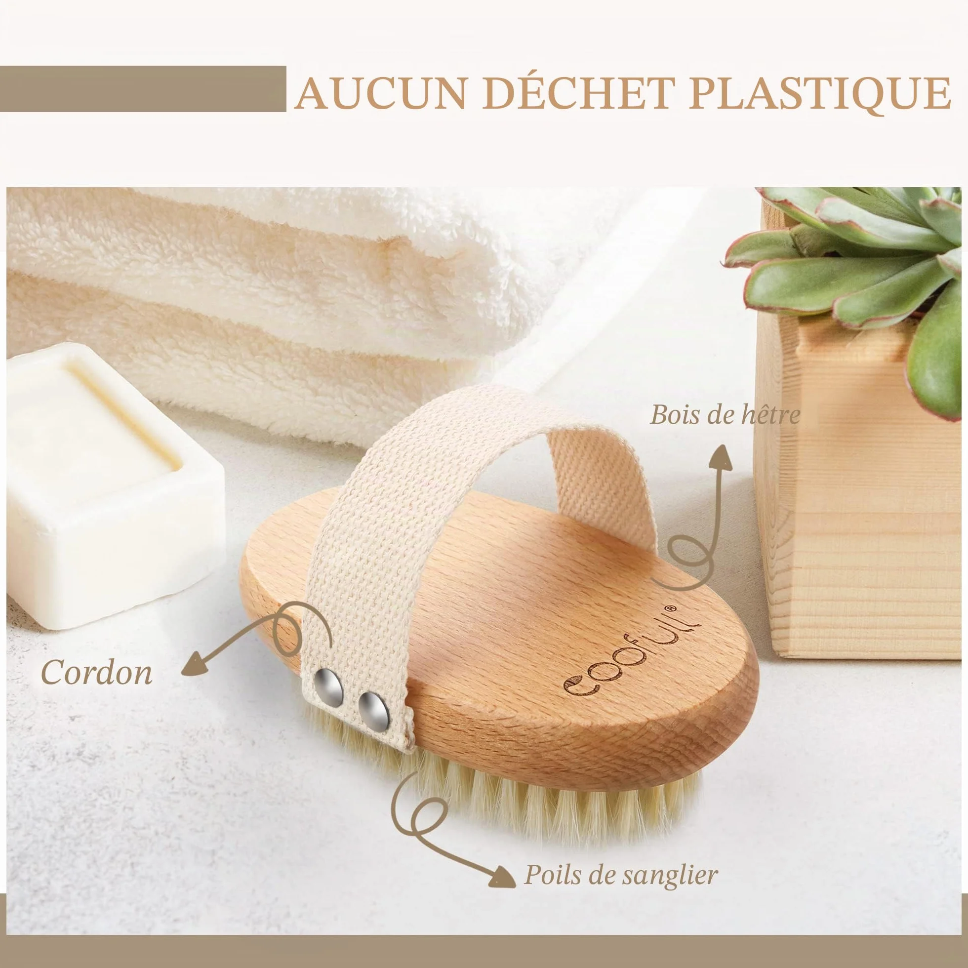 Brosse à sec pour le corps en bois de hêtre naturel 100% poils de sanglier anti-cellulite