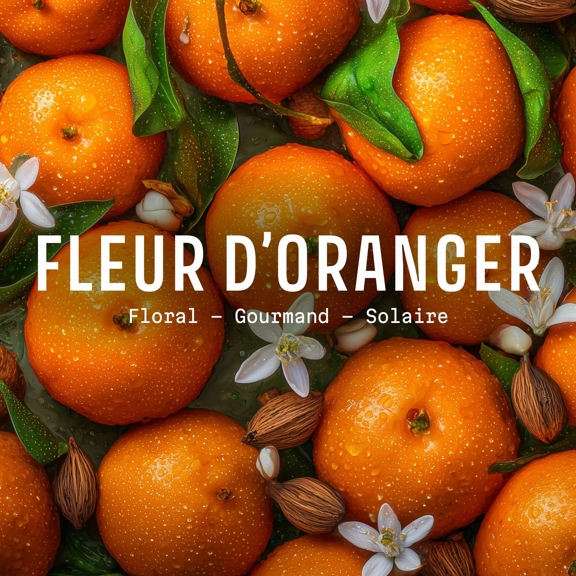 Eau de Toilette Fleur d’Oranger 50ml - Parfum Fleur d’Oranger Femme Floral, Doux et Lumineux - Notes de Mandarine & Vanille - Fabriqué en Provence - Panier des Sens