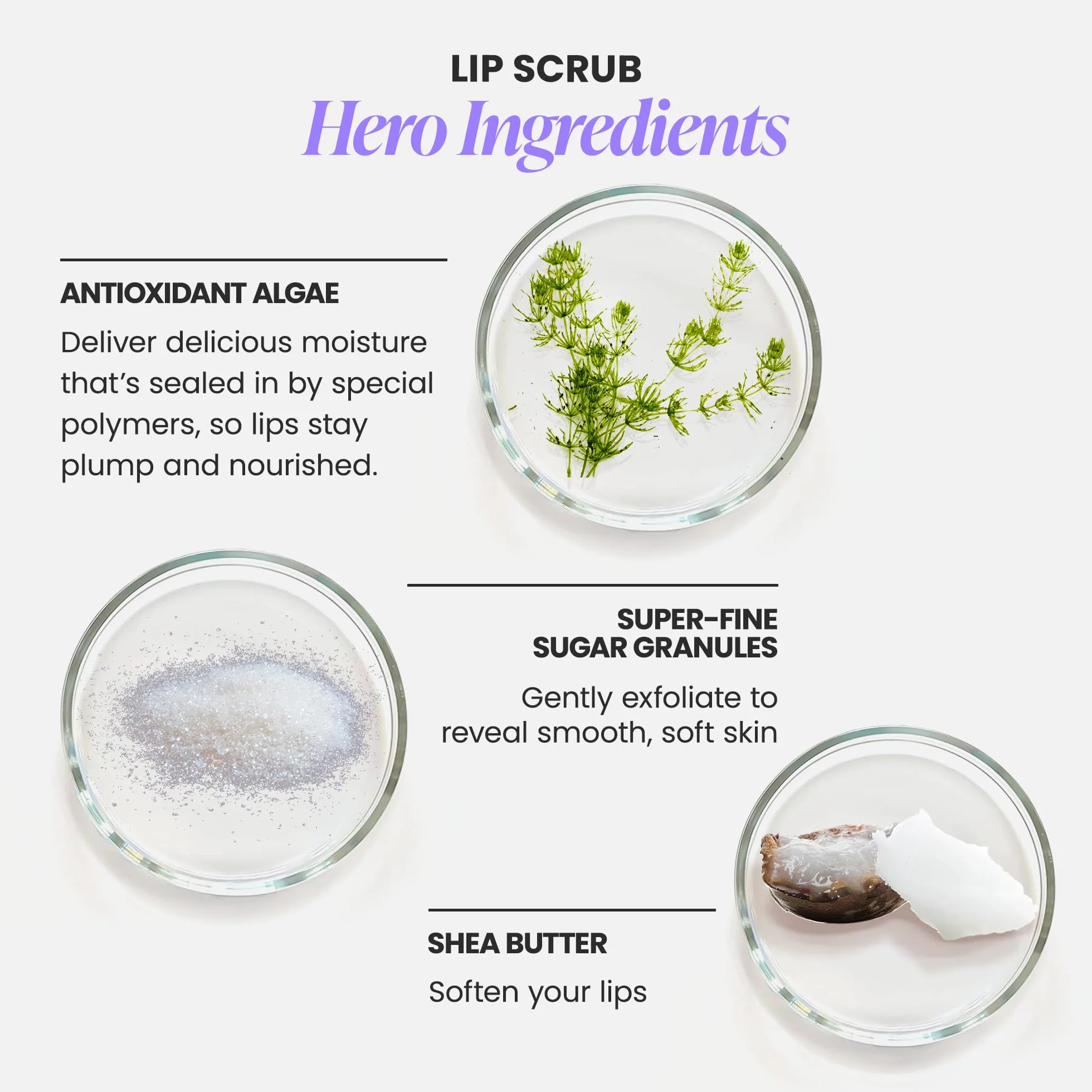 Wonderskin Baume Hydratant Lèvres 3 En 1 Exfoliant 0,10 Oz