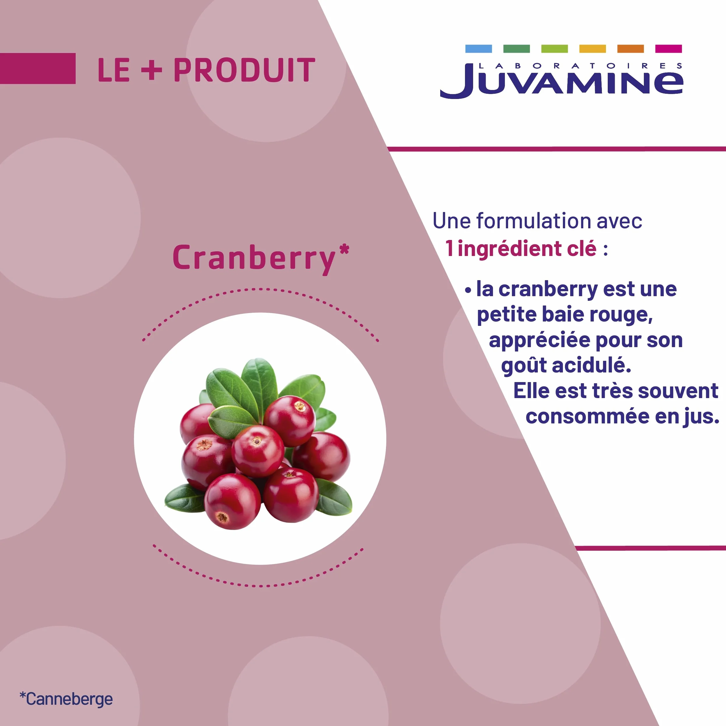 JUVAMINE Cranberry Bien être Urinaire 60 Gélules Fabriqué en France