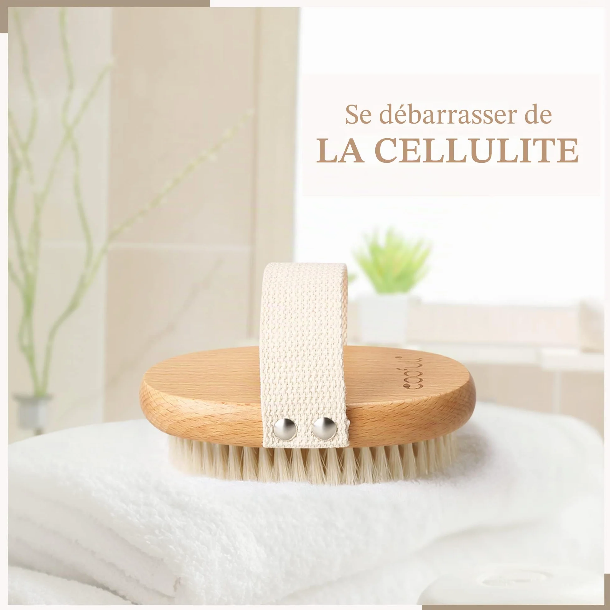Brosse à sec pour le corps en bois de hêtre naturel 100% poils de sanglier anti-cellulite