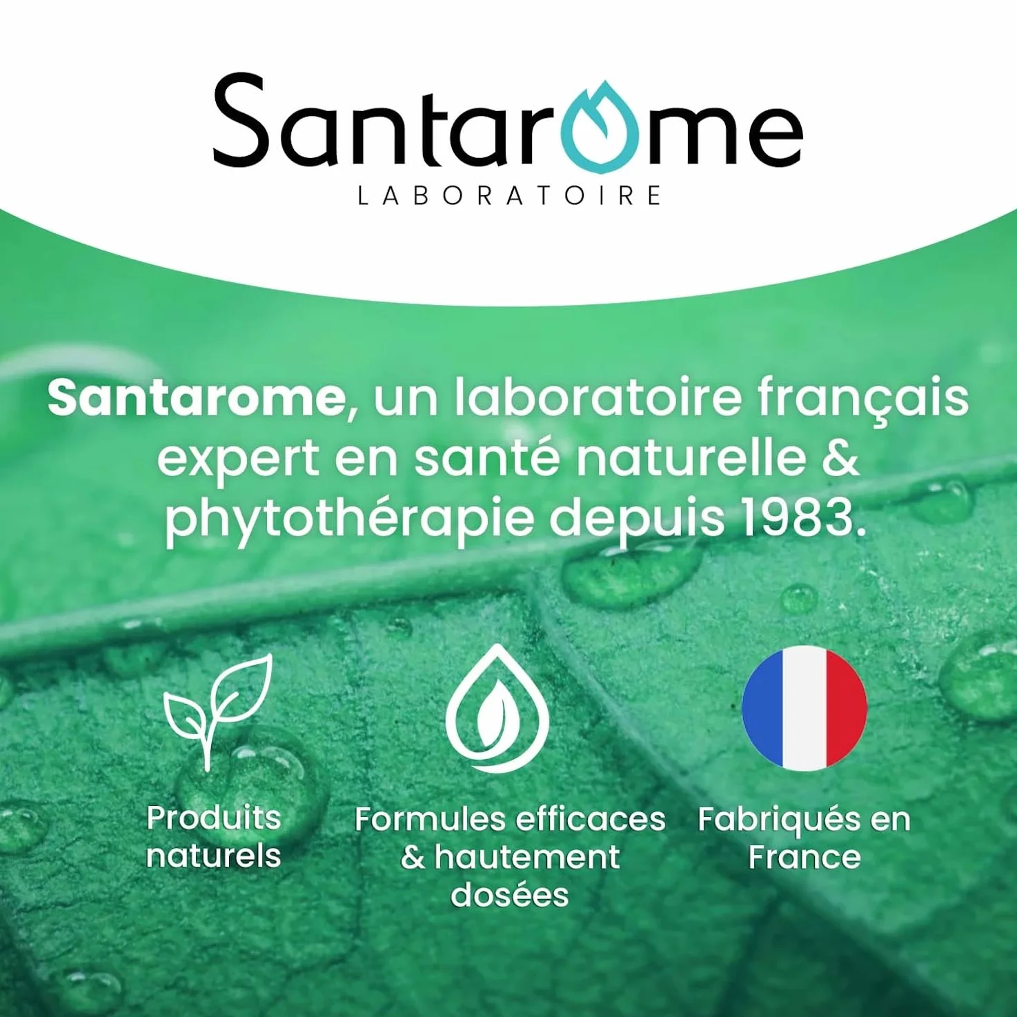 Santarome Bio Desmodium 2500 Complément Alimentaire Détoxifiant du Foie 30 Gélules Végan Made In France