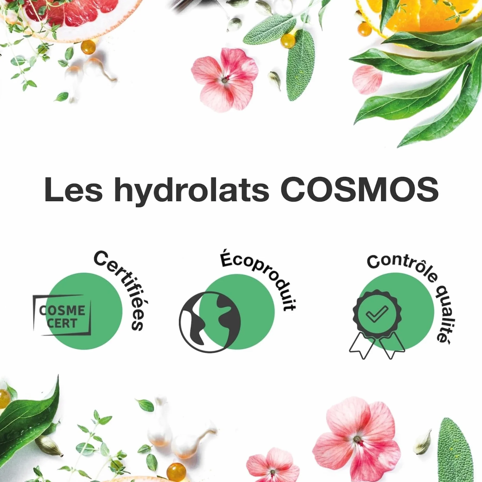 VOSHUILES Hydrolat de Tea Tree COSMOS 200ml Purifiant Peaux Imperfections Cuirs Chevelus Gras