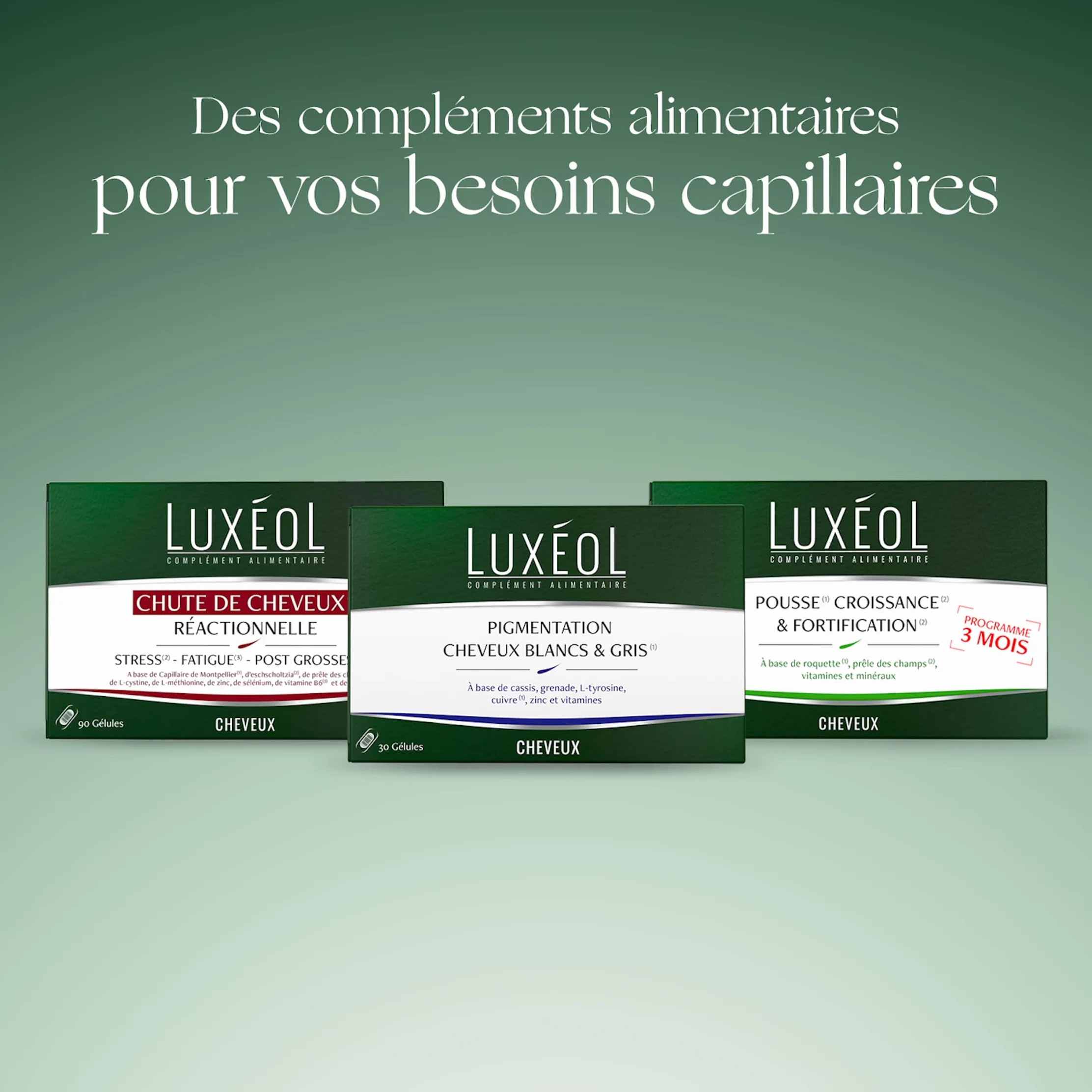 LUXÉOL Complément Alimentaire Pigmentation Cheveux Blancs & Gris 30 Gélules Programme 1 Mois