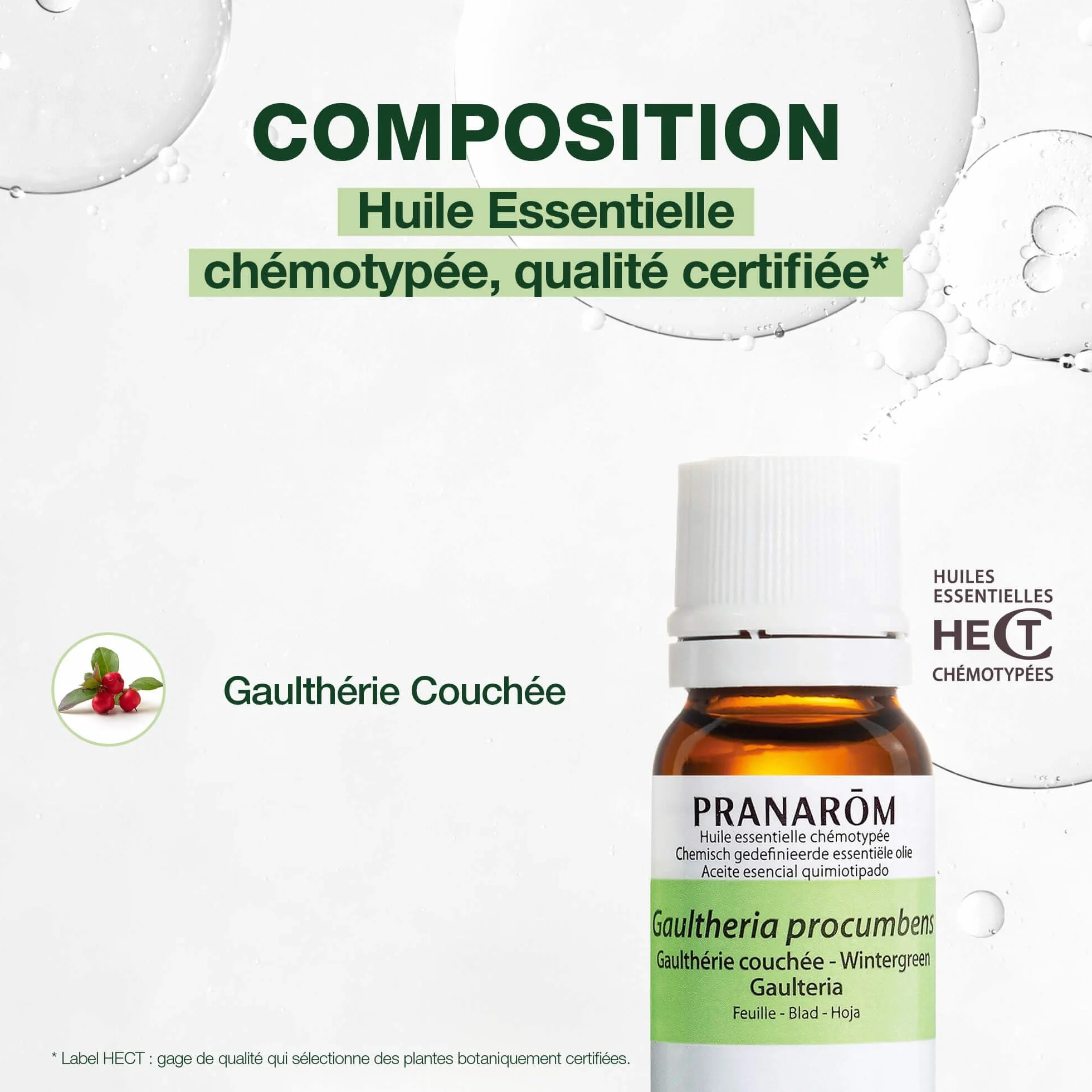 Huile Essentielle Chémotypée Gaulthérie Couchée 100% Pure 10 ml