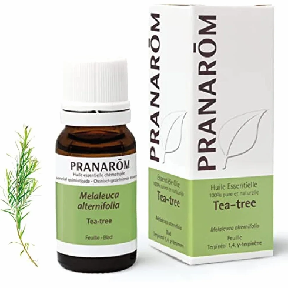 Huile Essentielle Tea Tree Chémotypée 100% Pure Naturelle HECT 10 ml