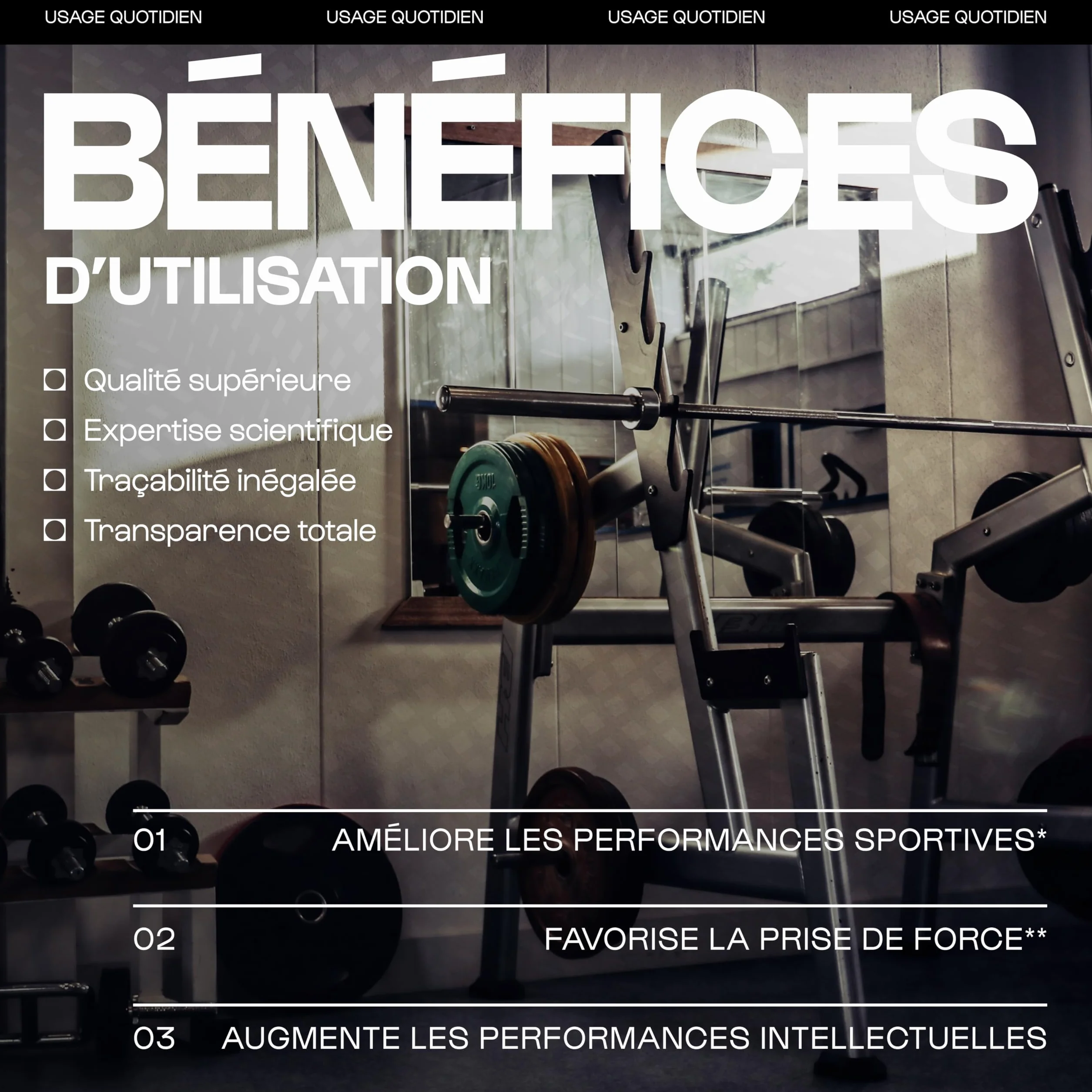 Créatine Monohydrate Creapure 120 Gélules Nutrimuscle Prise de Masse Musculaire Force