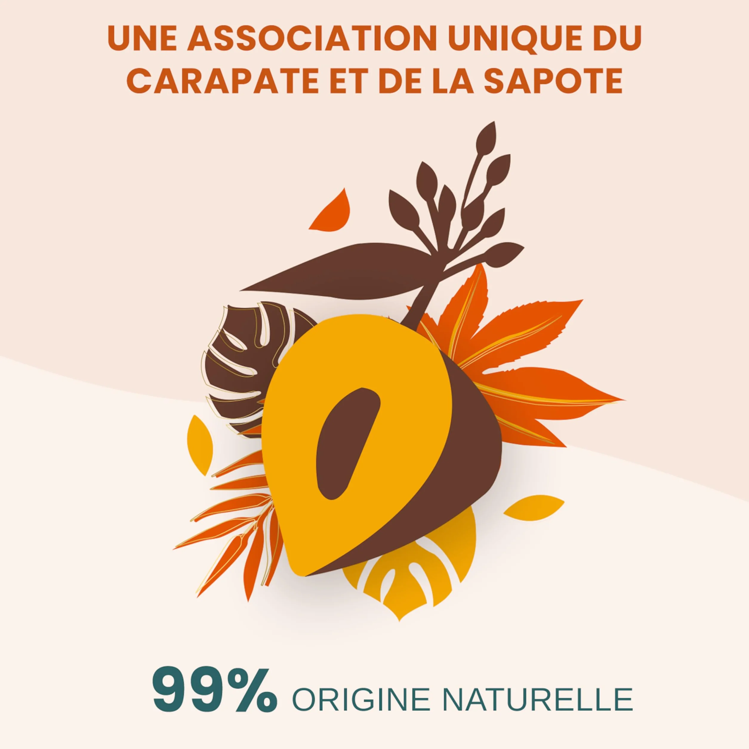 ACTIVILONG Huile Scellante Actiforce Cheveux Frisés Crépus 99% Ingrédients Naturels 100ml Made In France