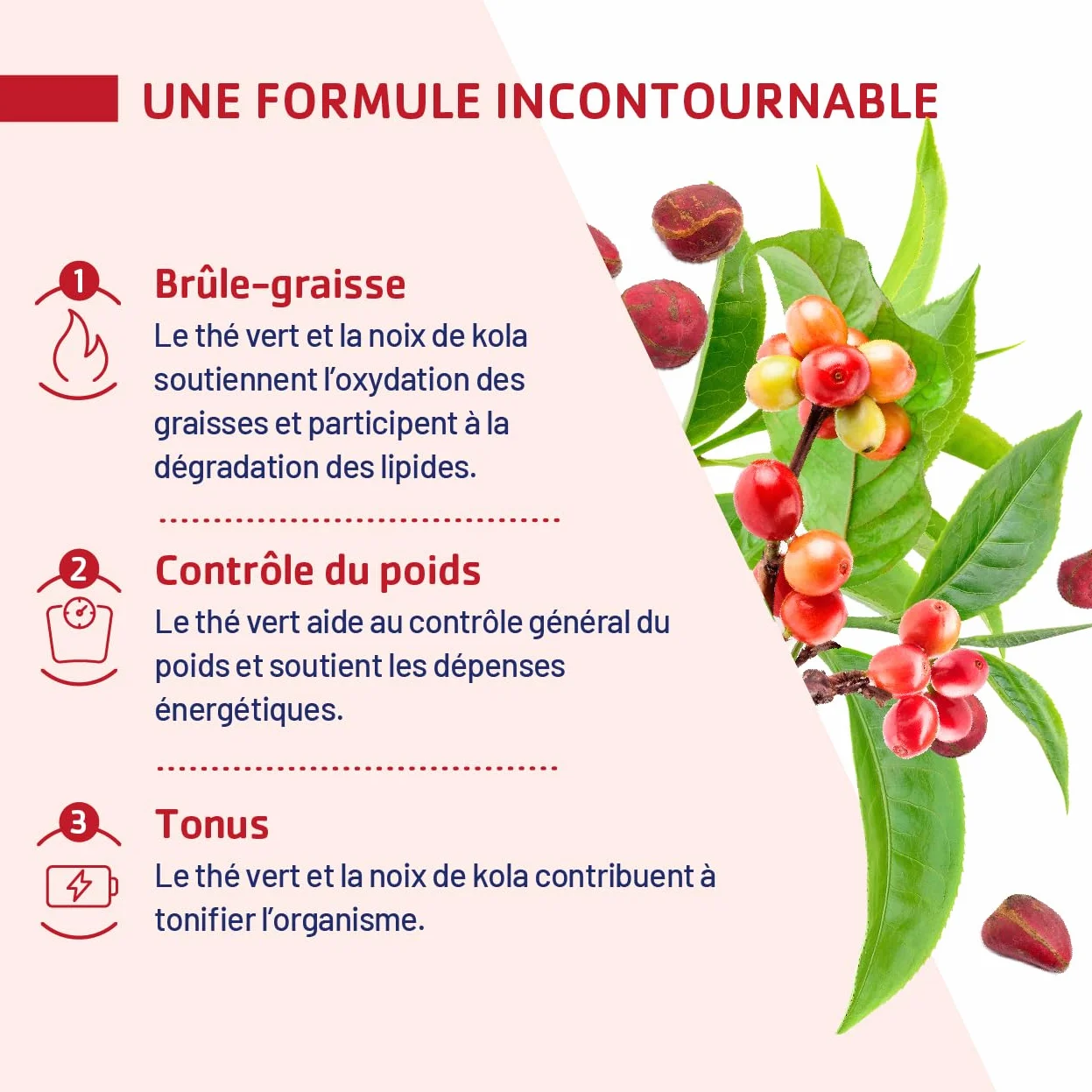 JUVAMINE Brûle Graisse Programme Minceur Thé Vert Kola Café Vert Vegan 60 Gélules Fabriqué en France