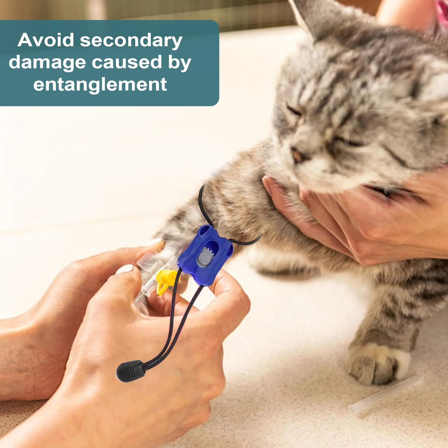 Garrot Élastique Premiers Secours Bandage Portable Contrôle Saignement Immédiat Chien Chat