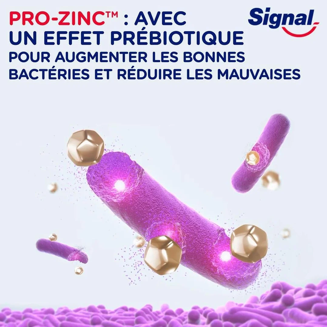 SIGNAL Dentifrice Integral 8 Complet Effet Prébiotique Protection Complète lot de 4x75ml