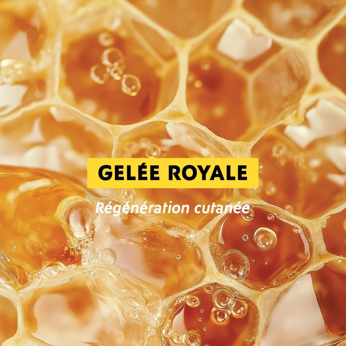 Alvadiem Onguent Réparateur Gelée Royale Baume Crevasses Mains Pieds 50 ml