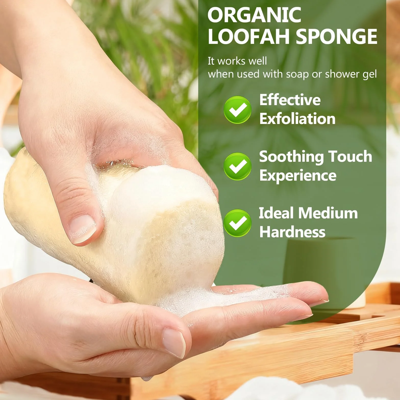 Éponge Exfoliante Corps Naturelle Loofah 10cm, Luffa Biologique pour Bain Douche et Cuisine