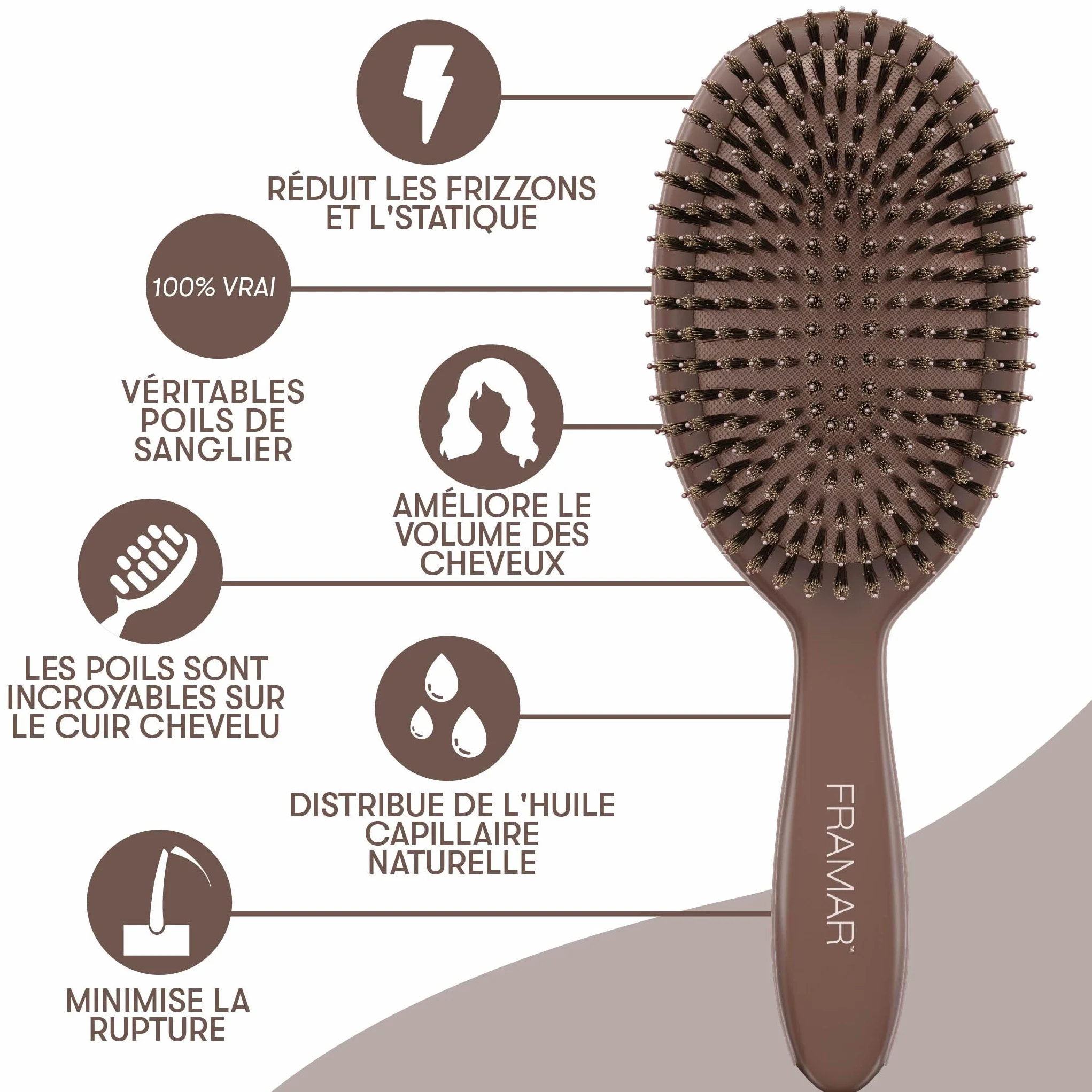 FRAMAR brosse en poils de sanglier souple – effet plaqué, volume et brillance – chocolat