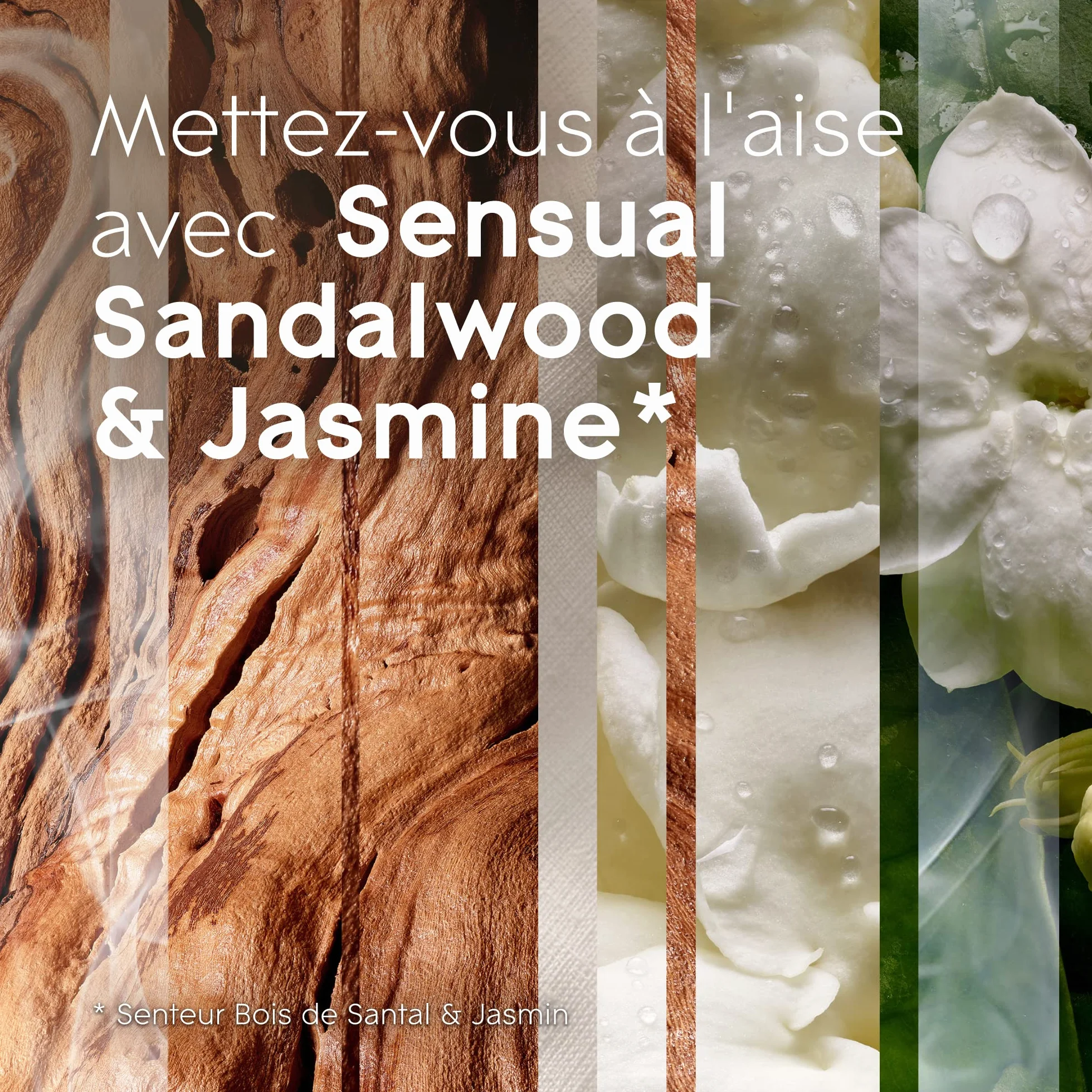 Glade Sense et Spray Diffuseur à Détection de Mouvement - Sensual Sandalwood & Jasmine - 1 Diffuseur et 3 Recharges 18ml