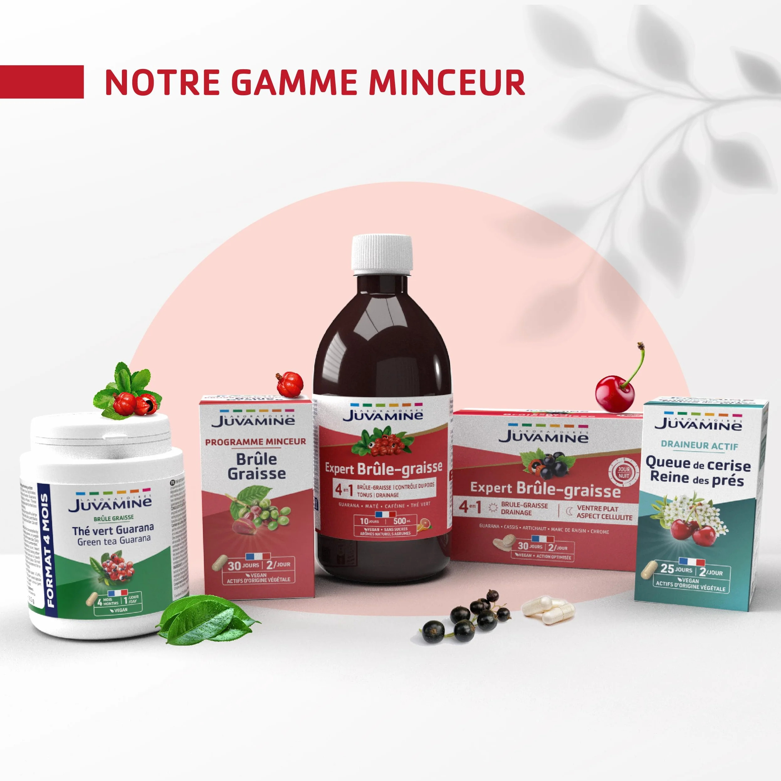 JUVAMINE Brûle-Graisse 14 Sticks Minceur Chrome Guarana Queue de Cerise Maté Arôme Ananas Fabriqué en France