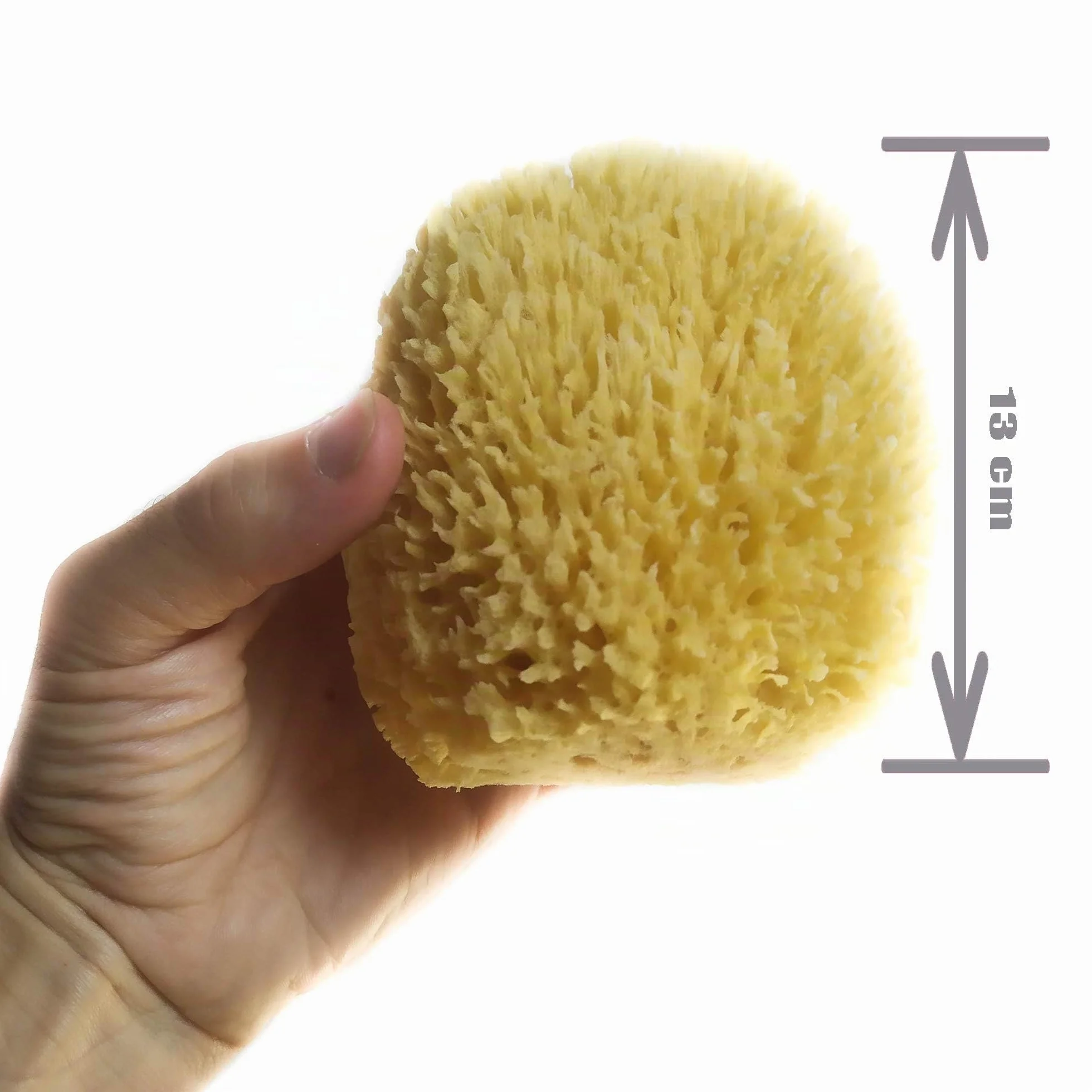Éponge de mer 100% Naturelle Bio Grande 12-13 cm exfoliante de bain pour le corps