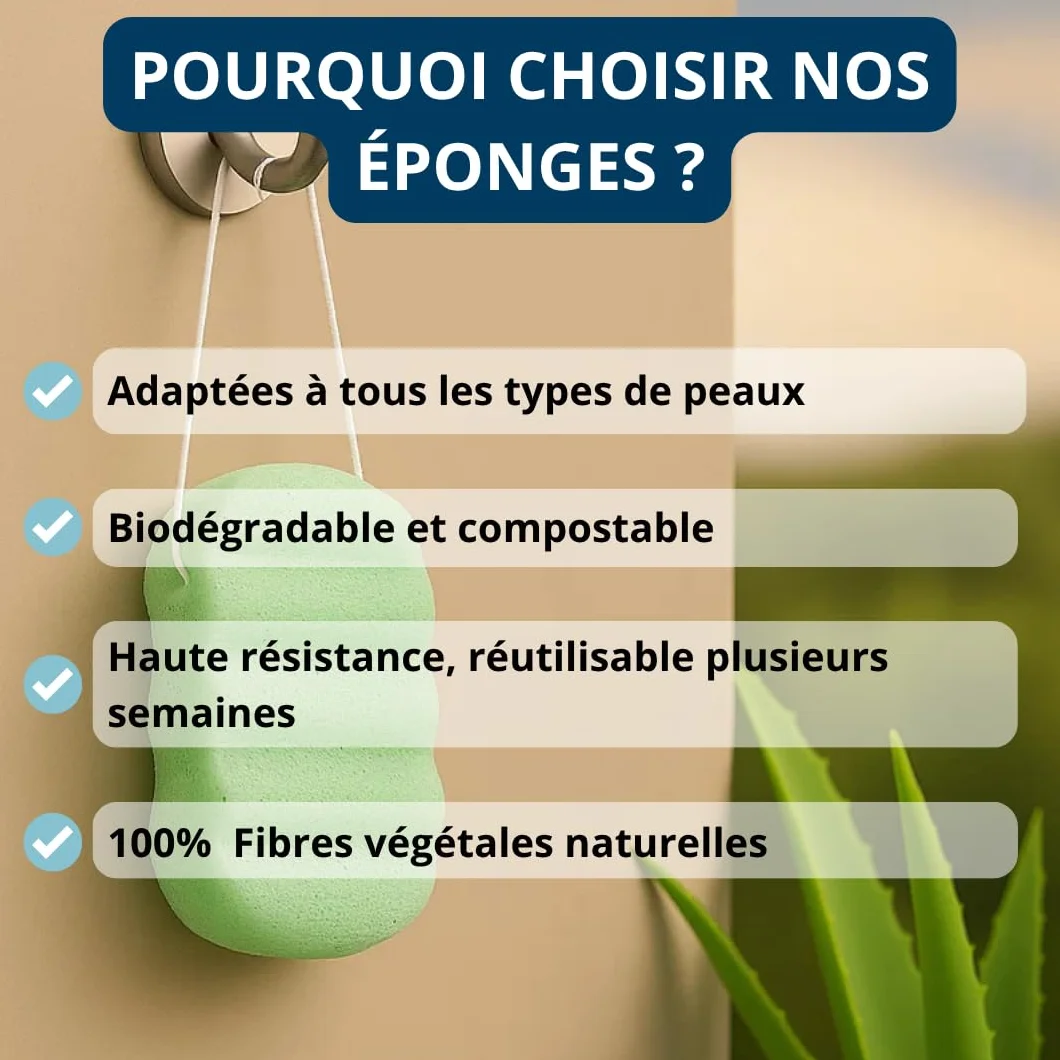 Eponge de Konjac Bio au Thé Vert pour le Corps - Lot de 2 - Exfoliante Végétale Naturelle