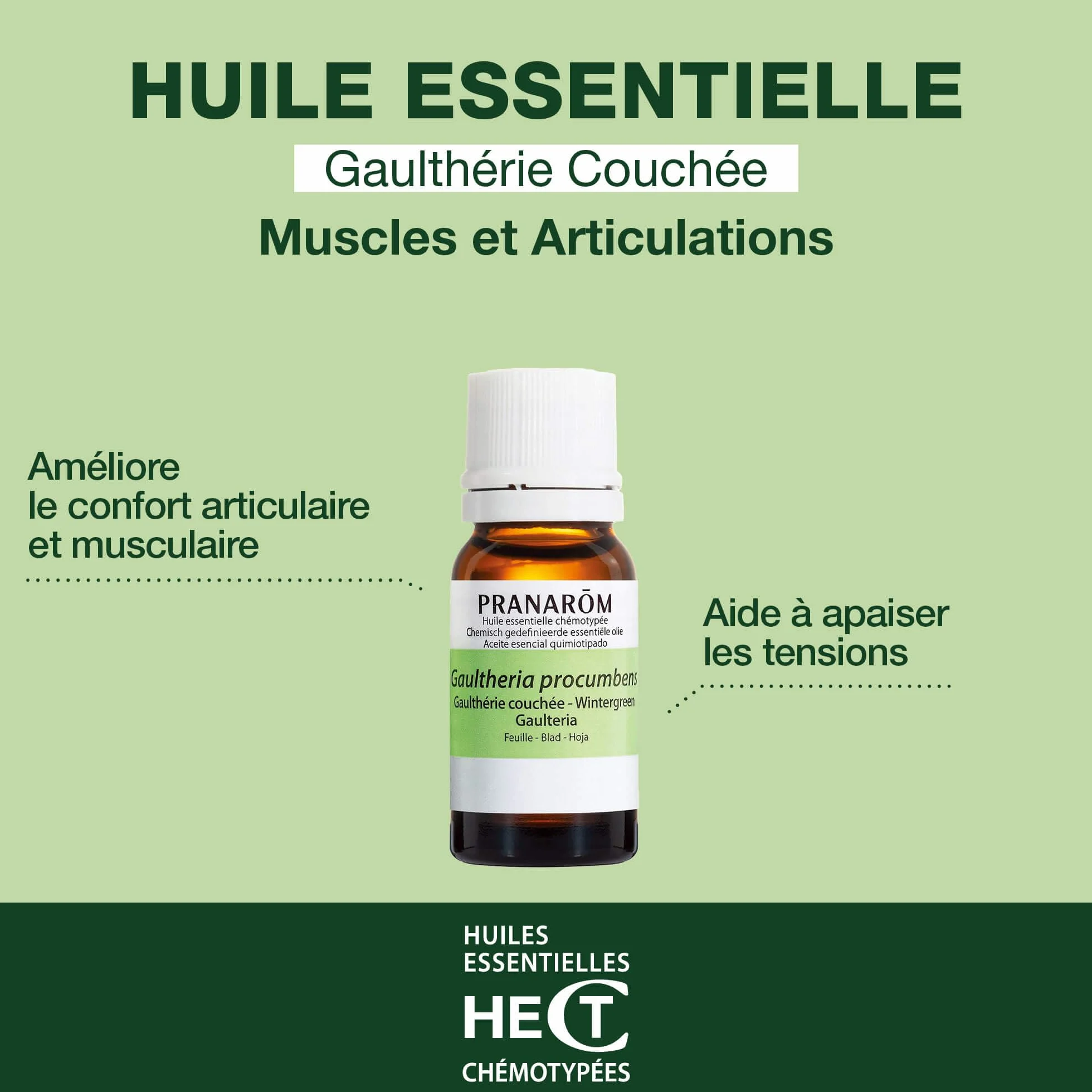 Huile Essentielle Chémotypée Gaulthérie Couchée 100% Pure 10 ml