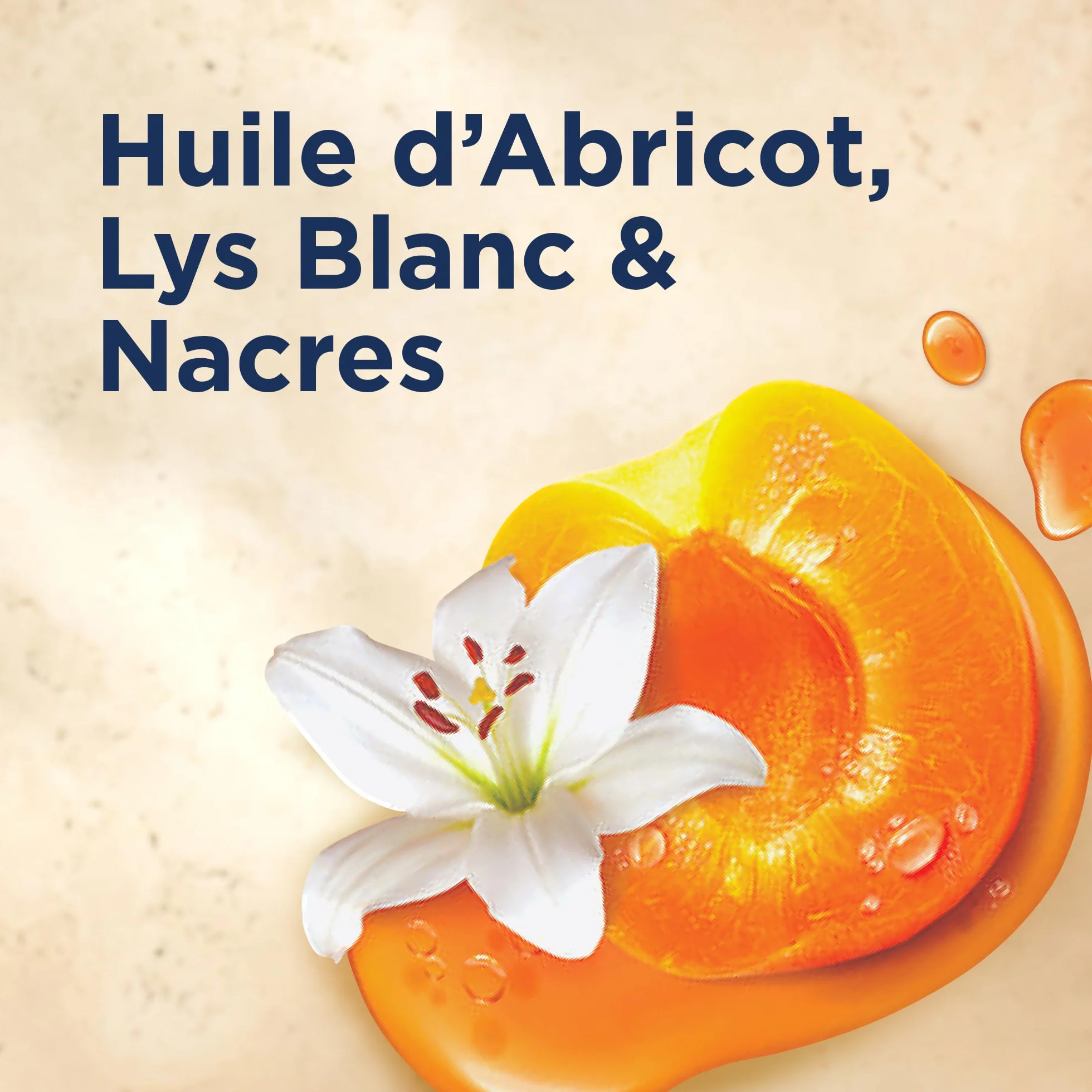 Le Petit Marseillais Lait Soin Hydratant Nacré Sublimant Corps 250 ml Peaux Très Sèches Confort 24H Huile d'Abricot Lys Blanc