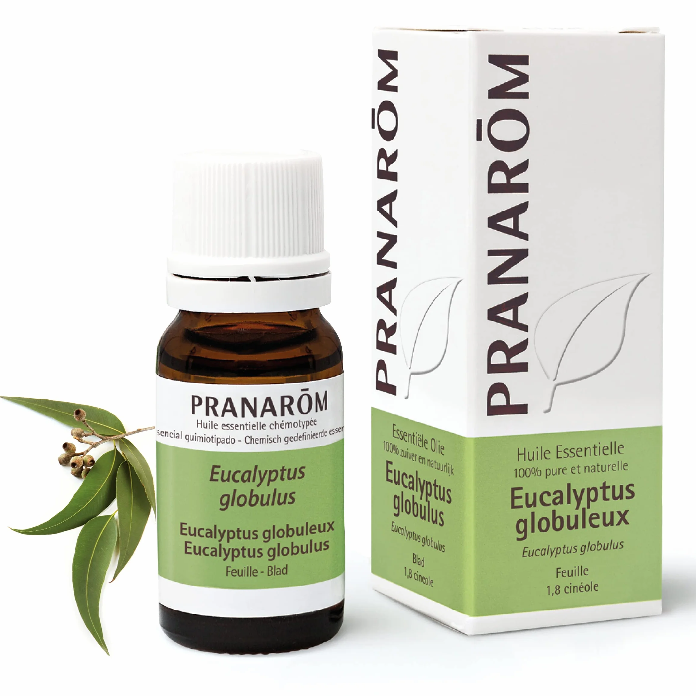 Pranarôm Huile Essentielle Eucalyptus Globuleux HECT 10 ml